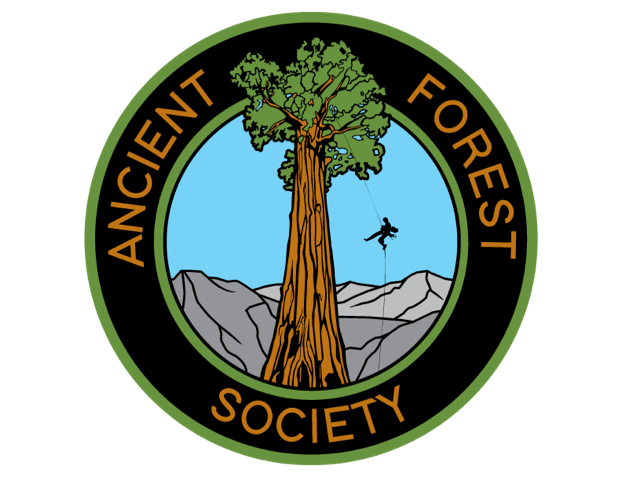 Ancient Forest Society