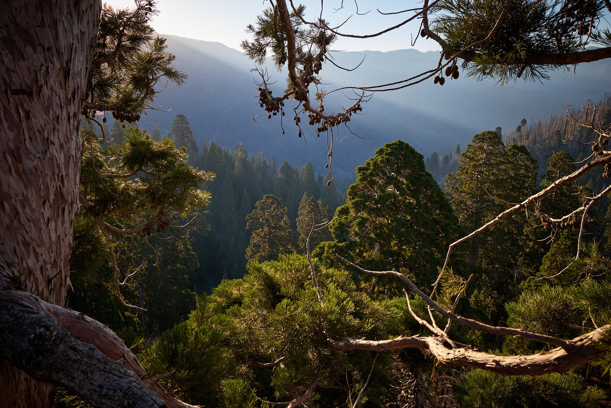 WB_Mountain Home_202407_IMG_9708.jpg
