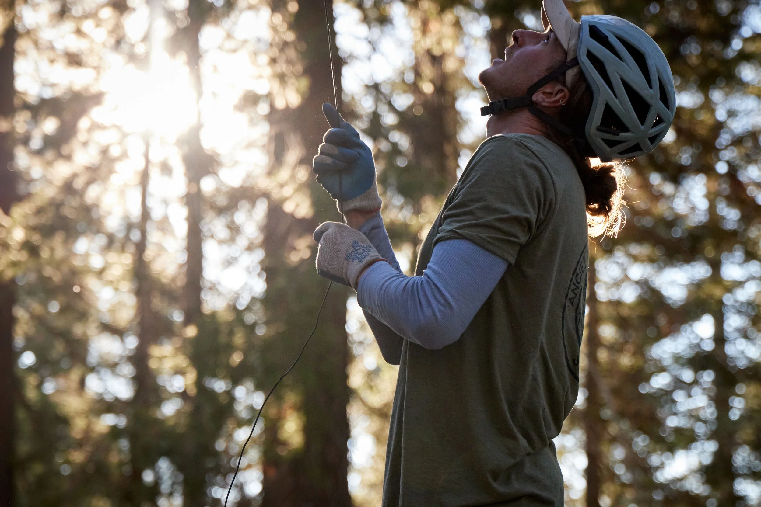 Men's T-Shirt, Forest Green, Black Logo