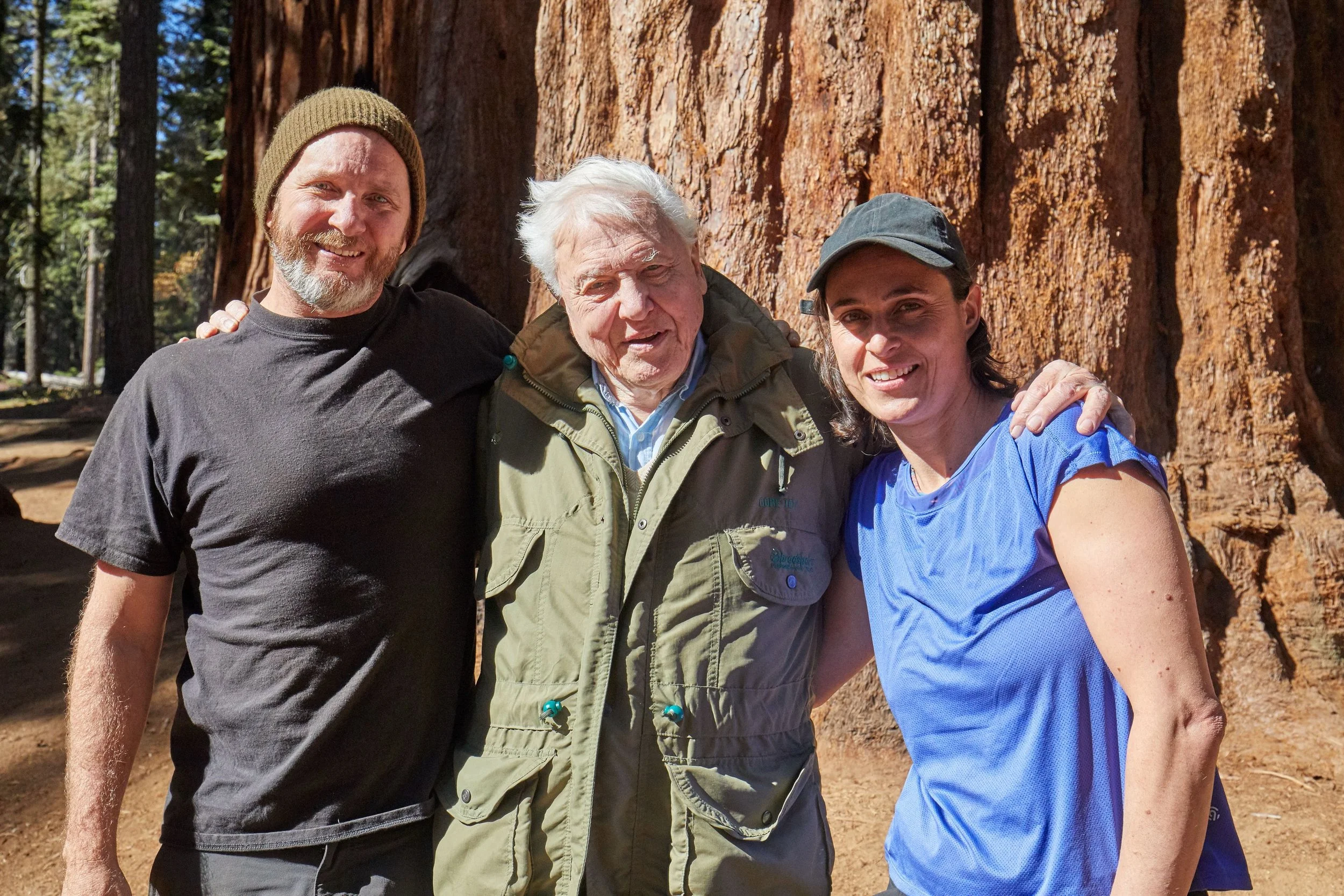 Happy 100th Birthday David Attenborough! We had the honor of filming with Sir David in Sequoia National Park in 2019 for a BBC episode of Green Planet (Seasonal Worlds, Episode 3). At the time he was a spry 93-year-old. Watching him present in person