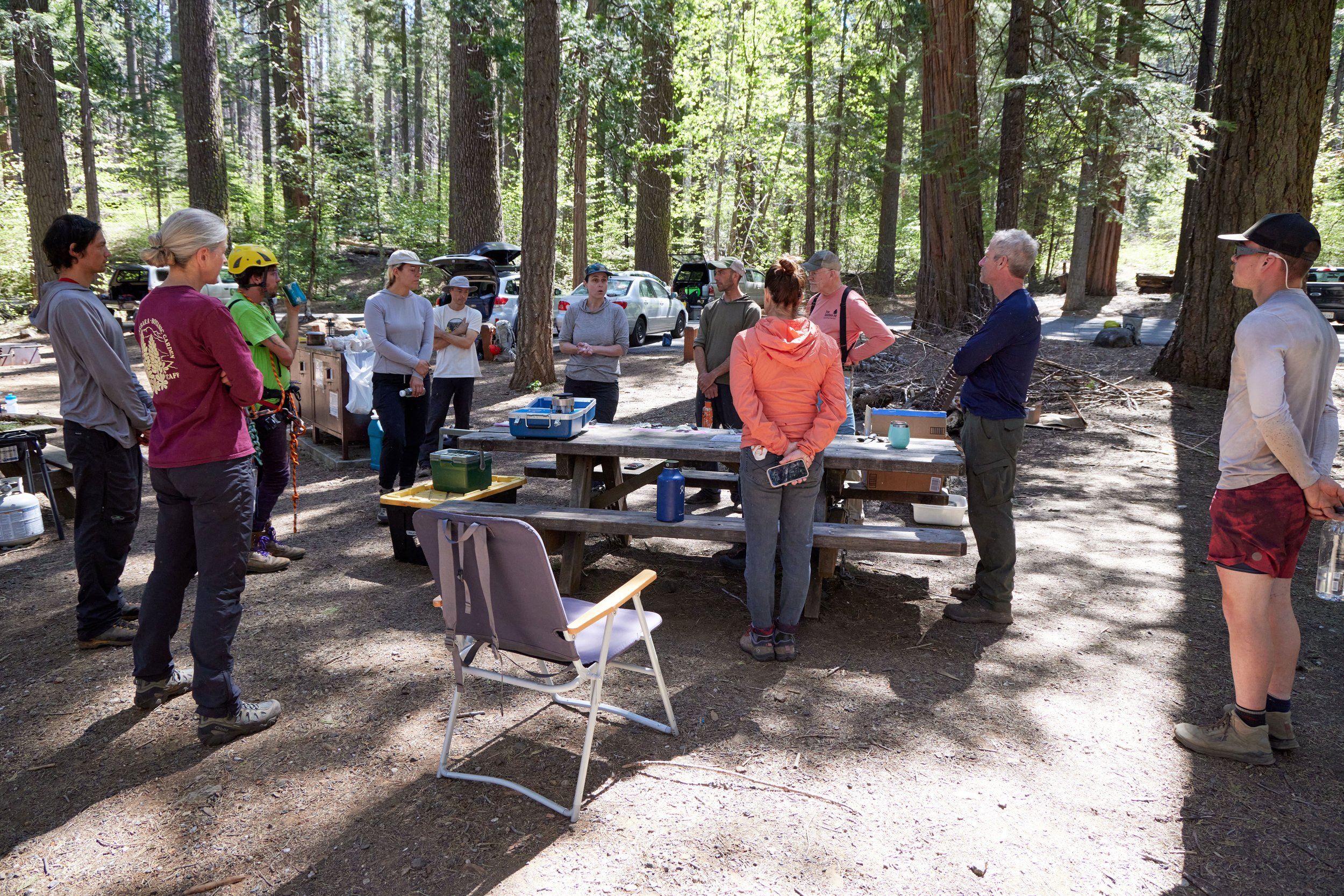 AA_Calaveras Big Trees Beetle Project May 2024_0A1A7532.jpg