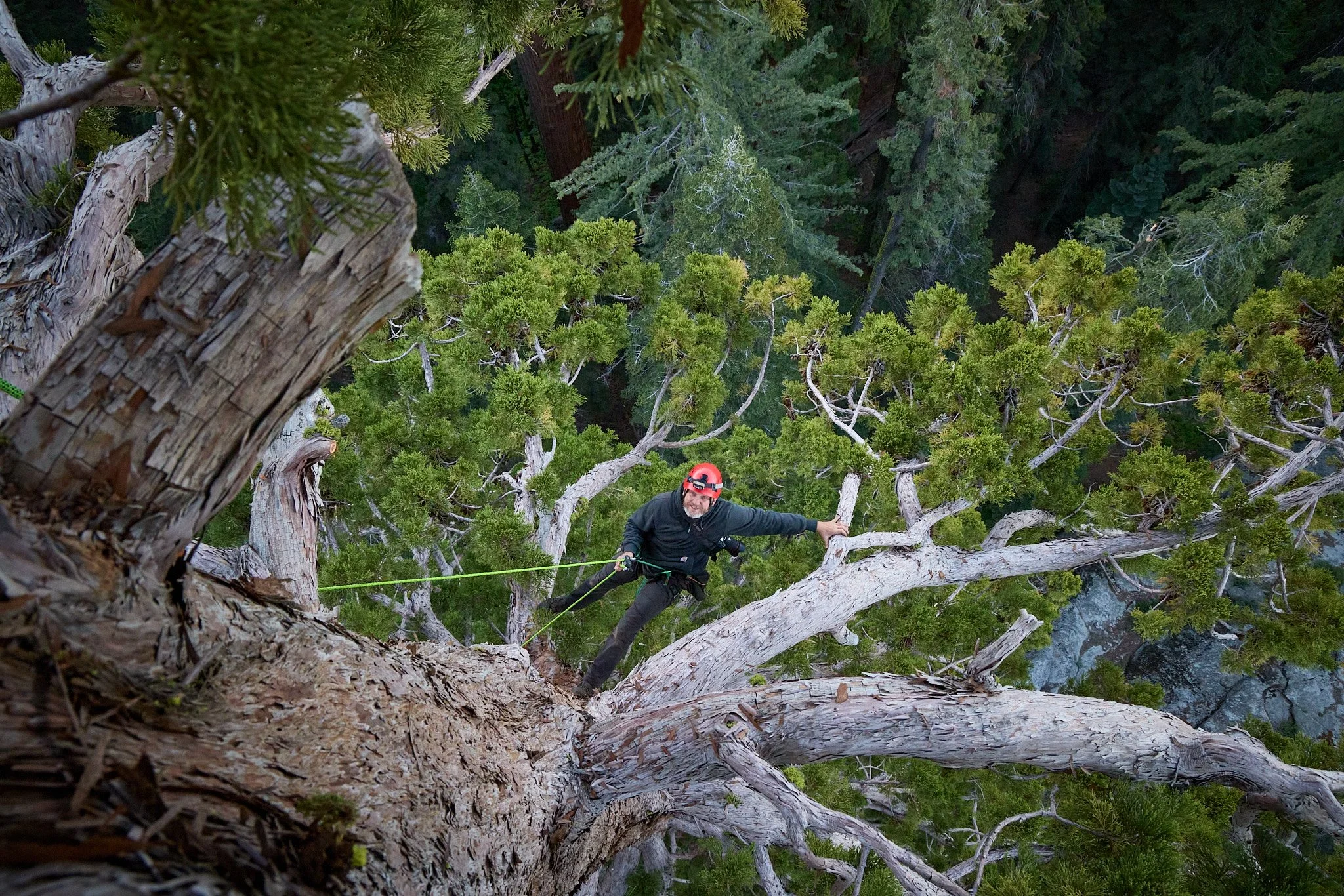 WB_Giant Forest_202406_IMG_9249.jpg