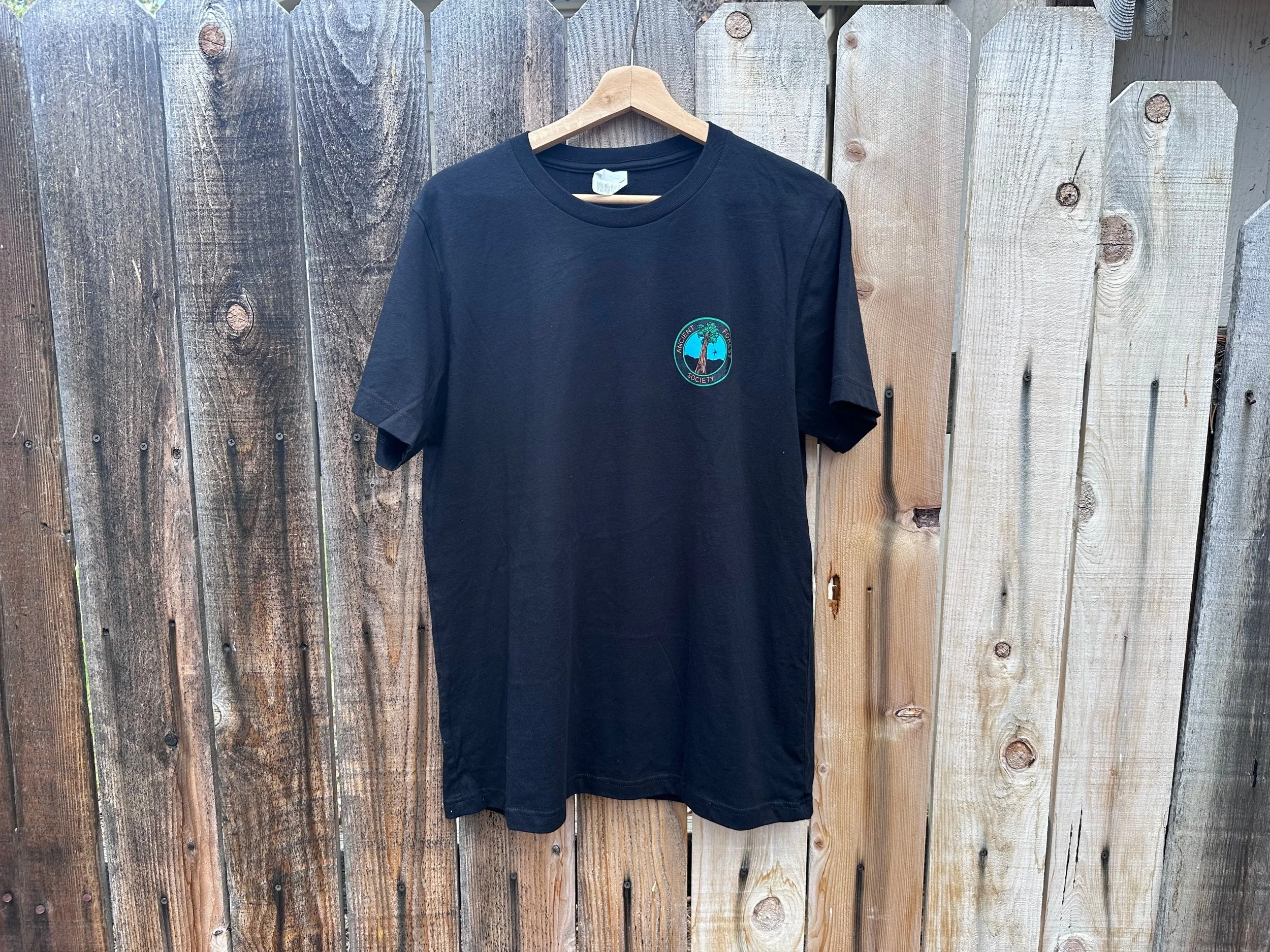 Men's T-Shirt, Black, Color Logo