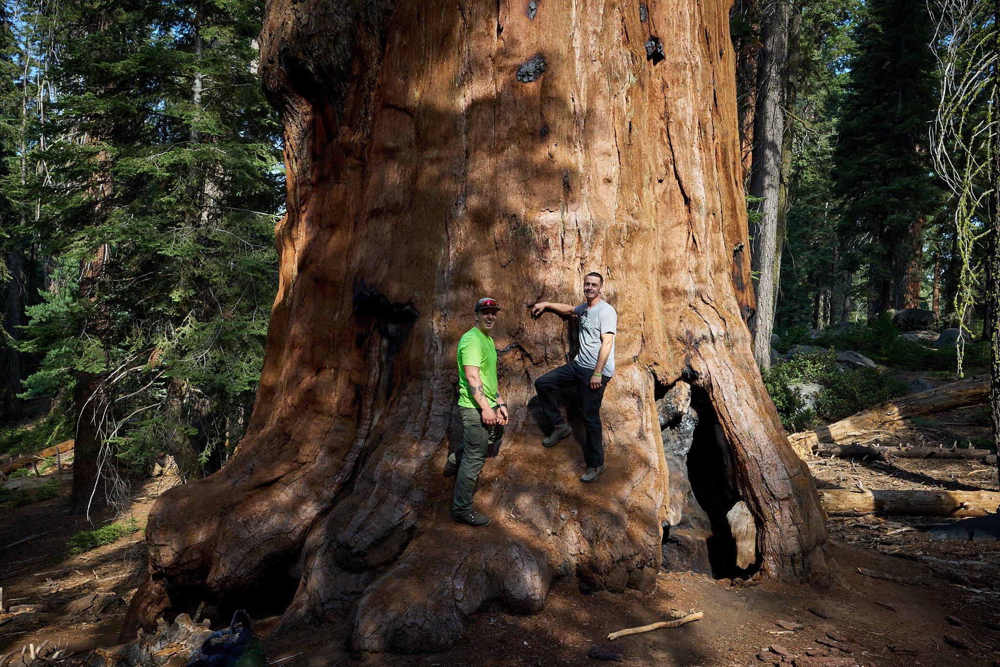 WB_Giant Forest_202407_IMG_9758.jpg