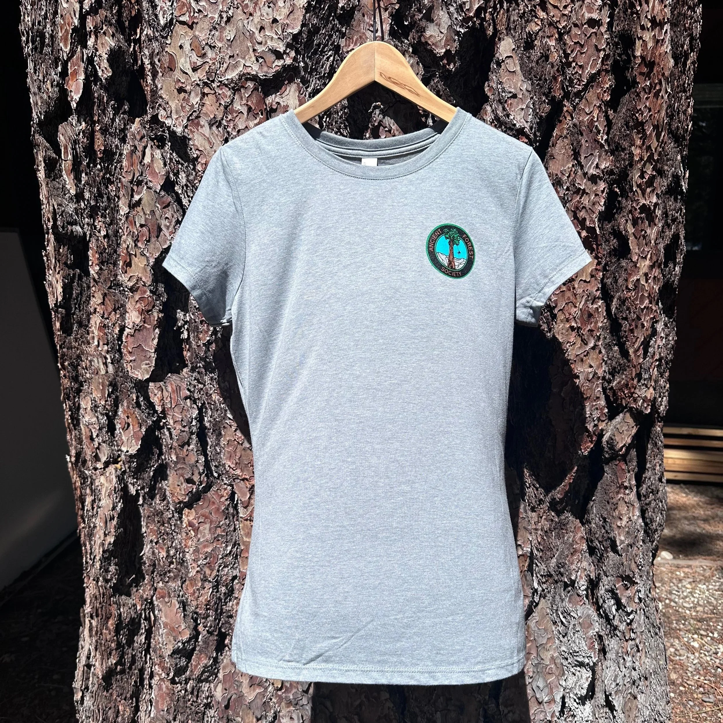 Women's T-Shirt, Heather Gray, Color Logo