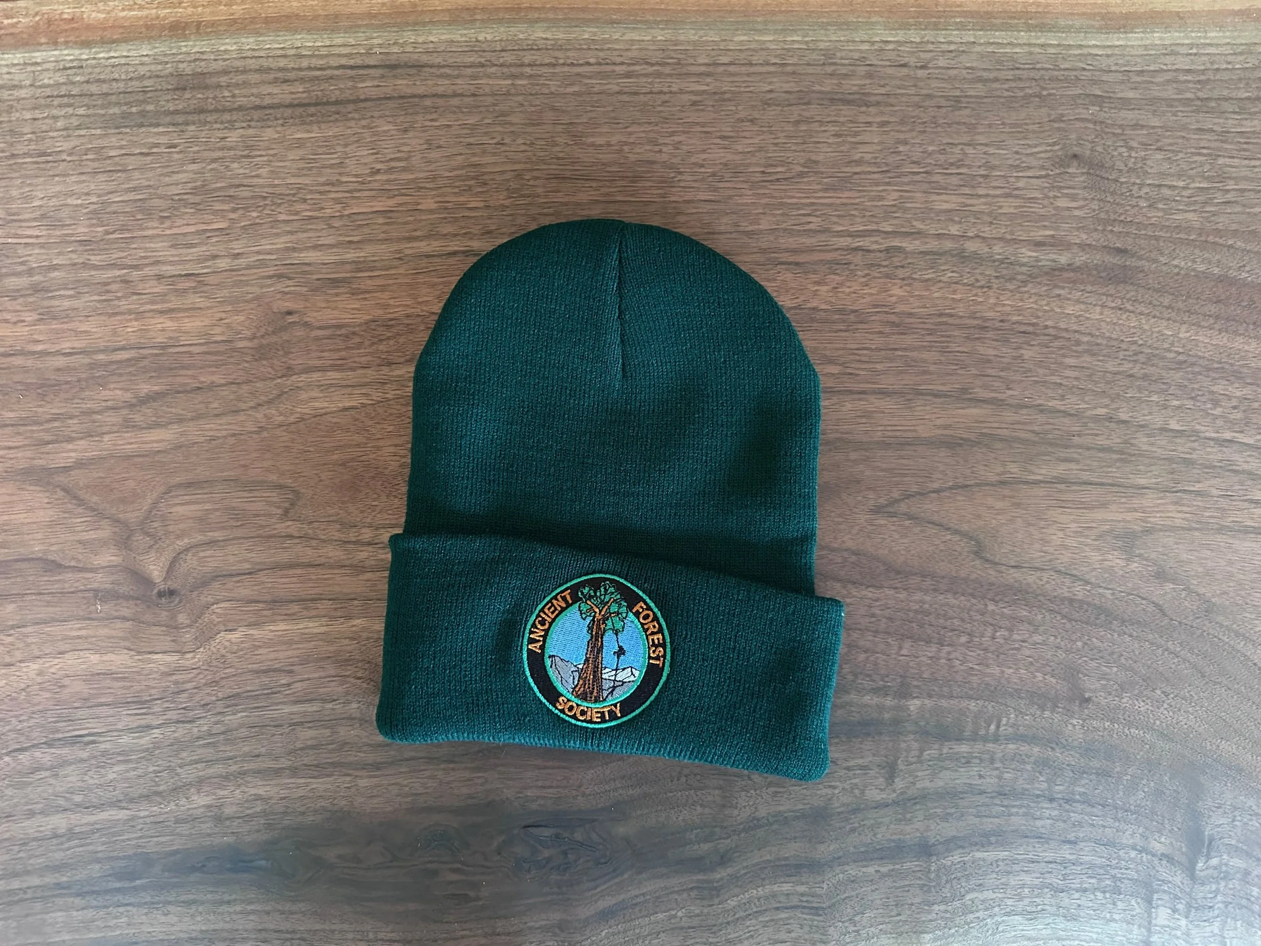 Beanie_Green_3.jpeg