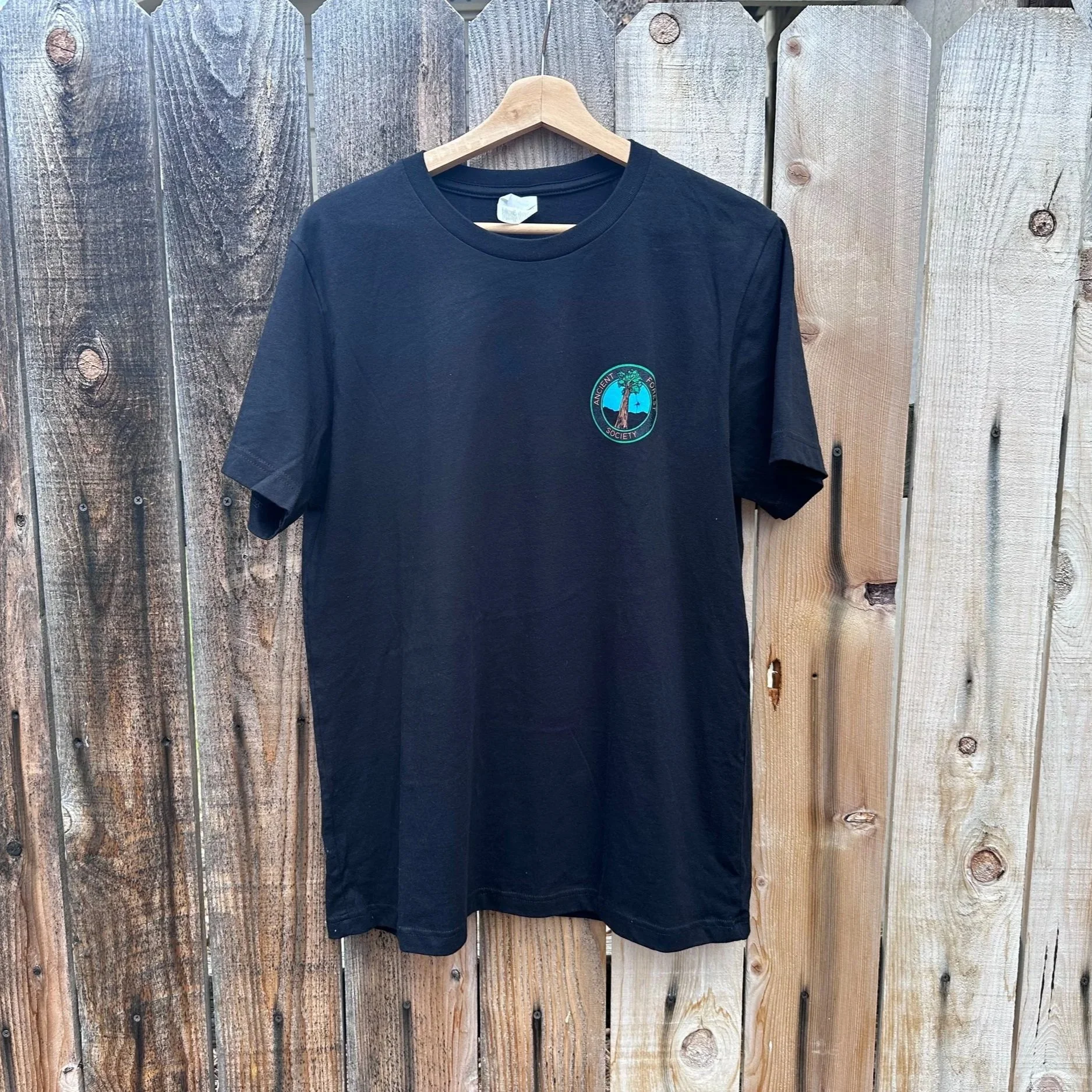 Men%27s_Tshirt_Black_Color_4.jpg