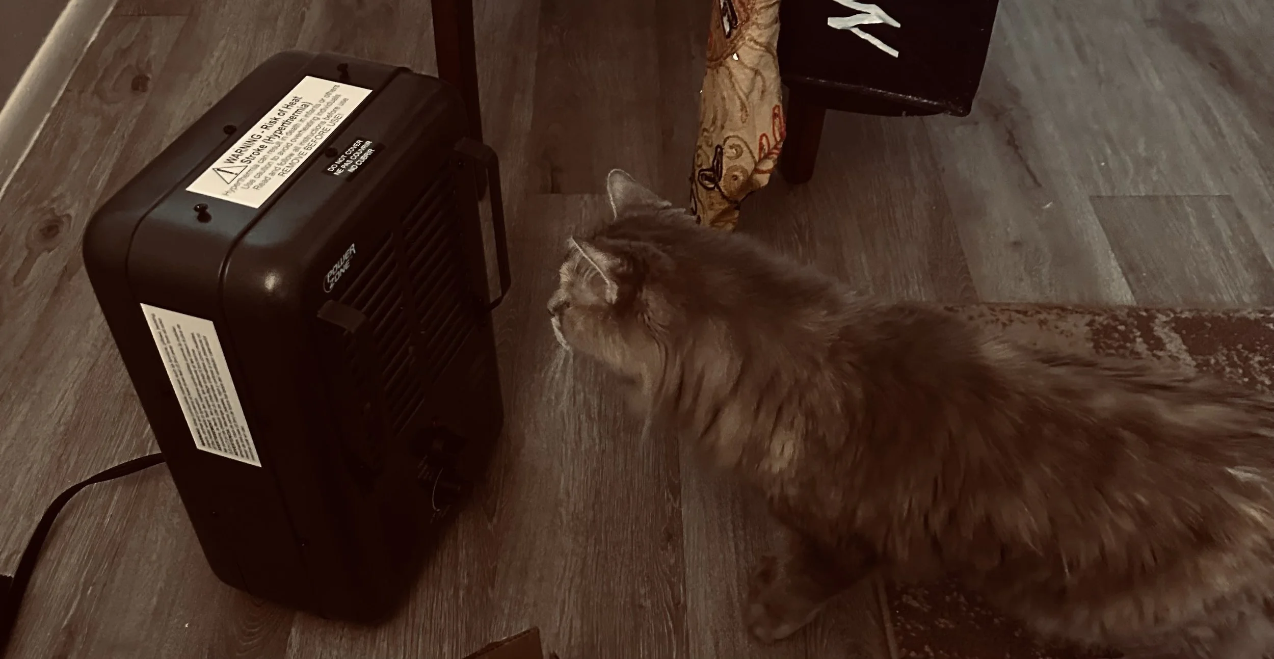 The Brave Little Space Heater