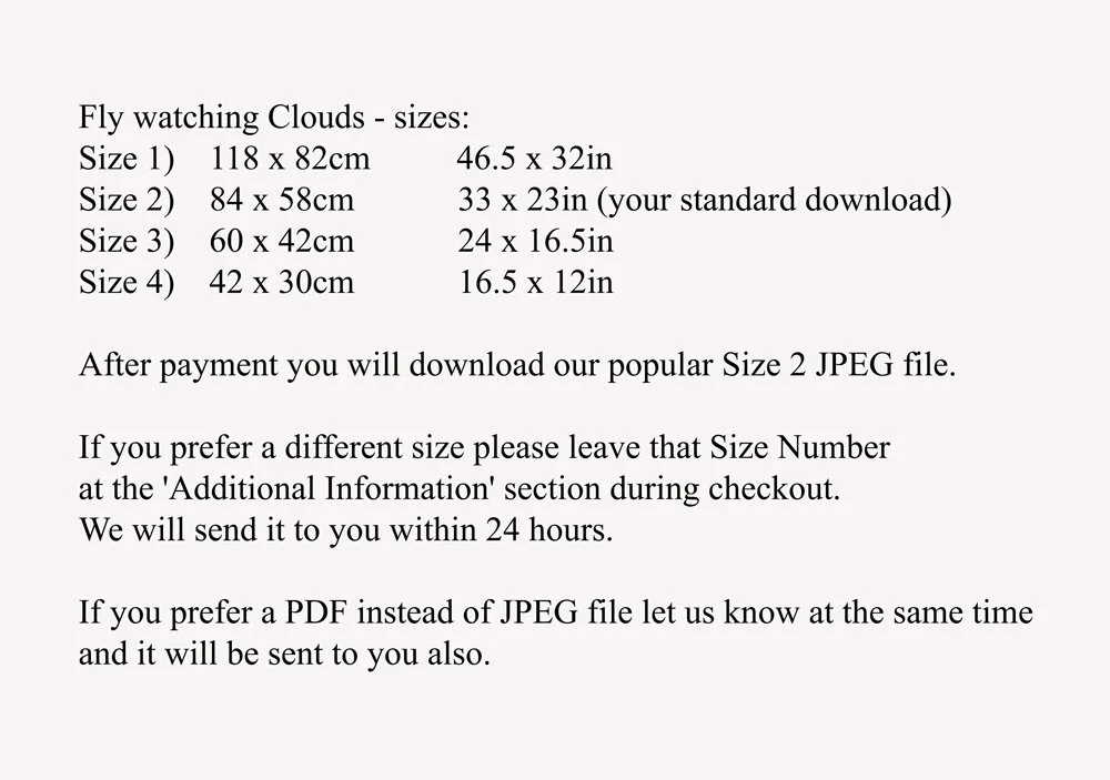 Fly watching Clouds explanation.jpg