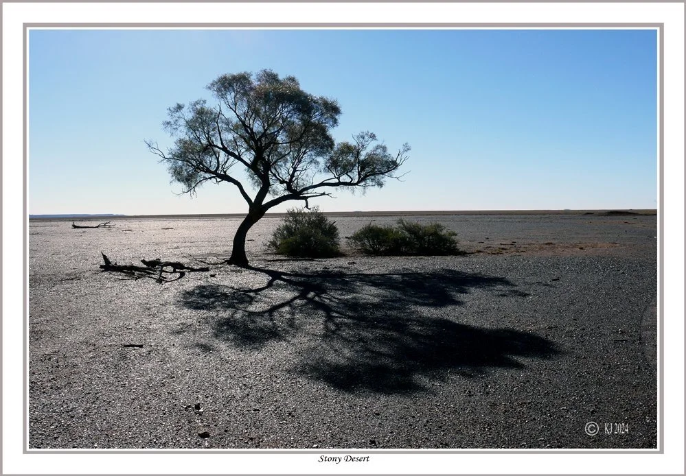 1+Stony+Desert++1000.jpg