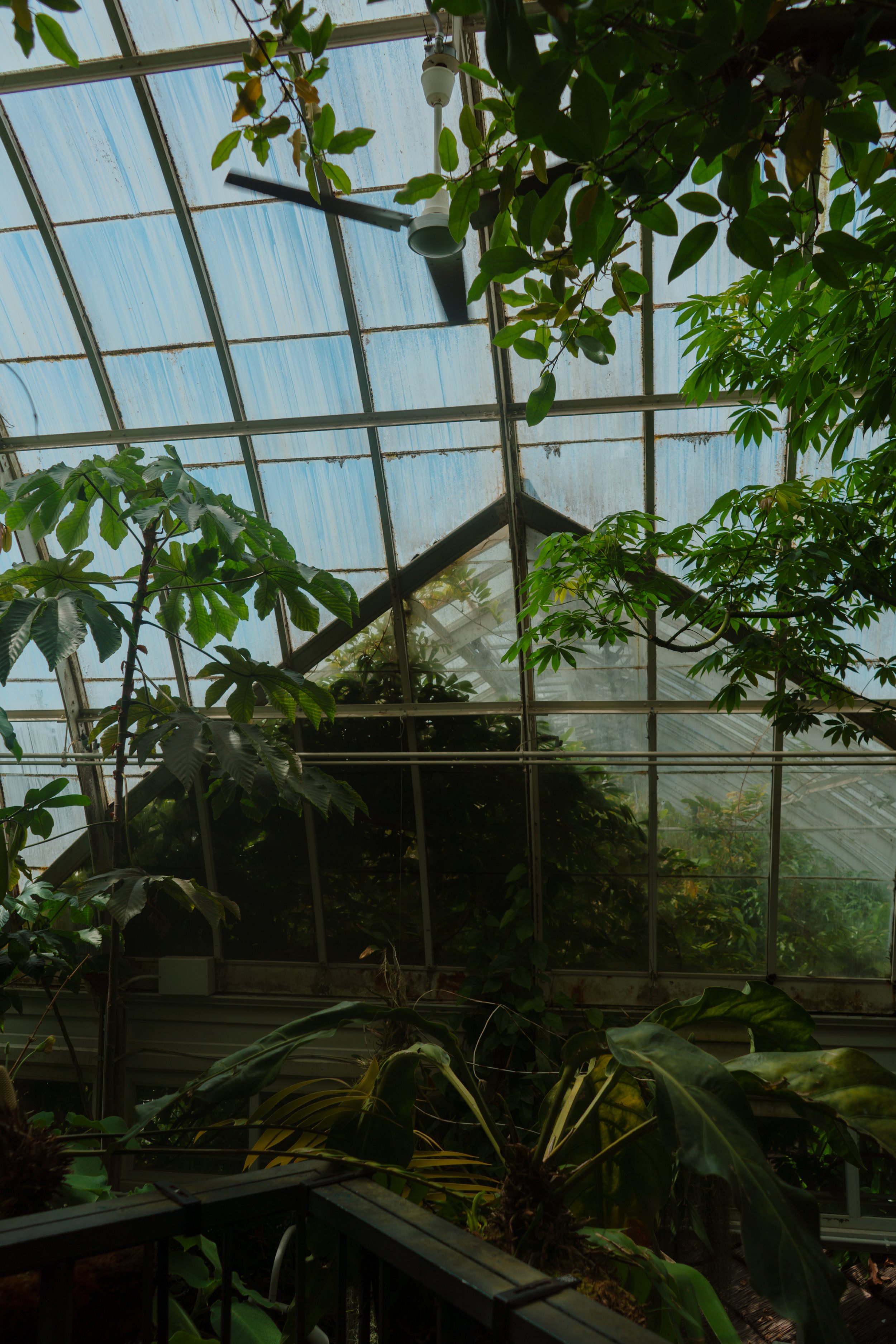 DSC04396.jpeg