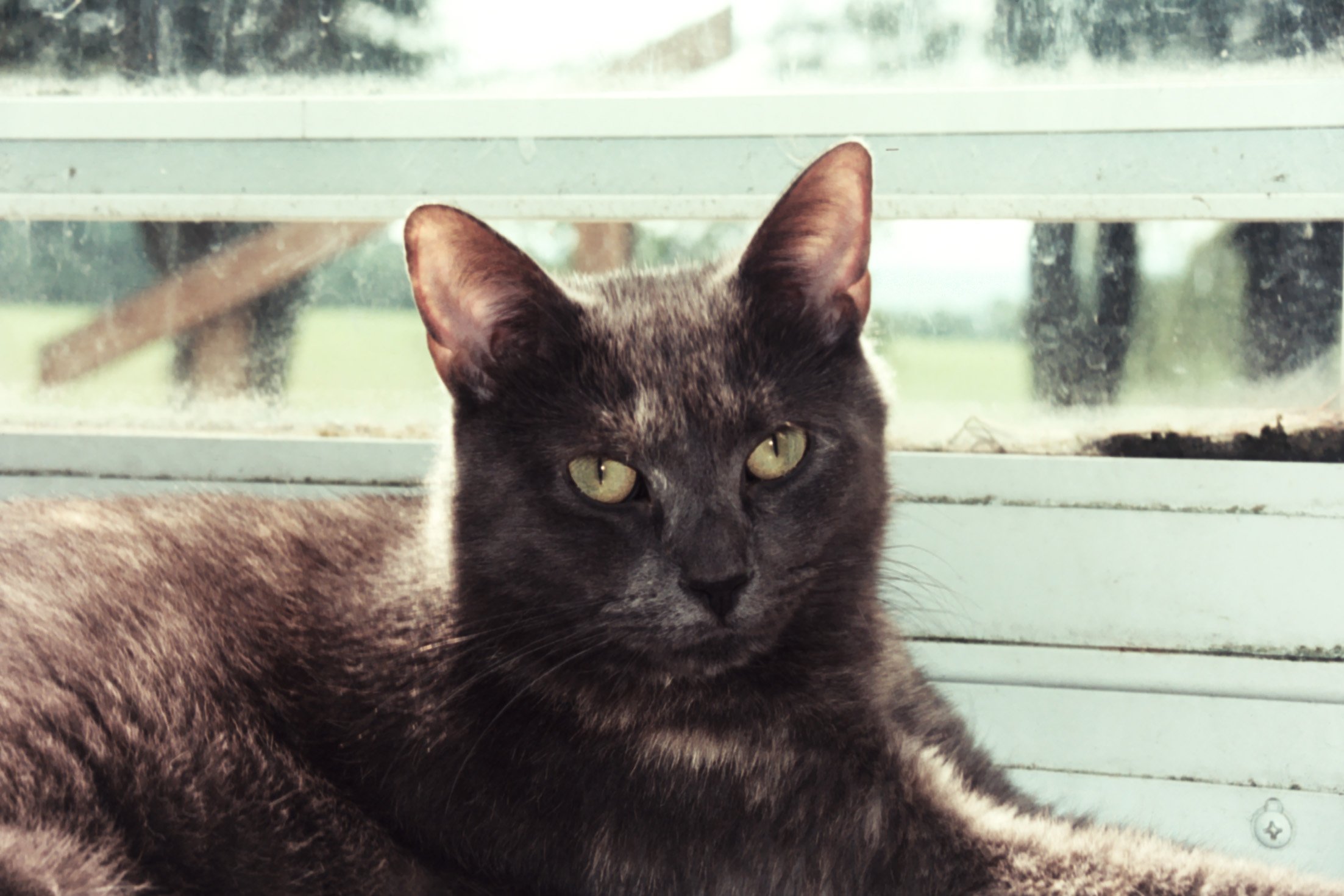 IMG_4108.jpeg