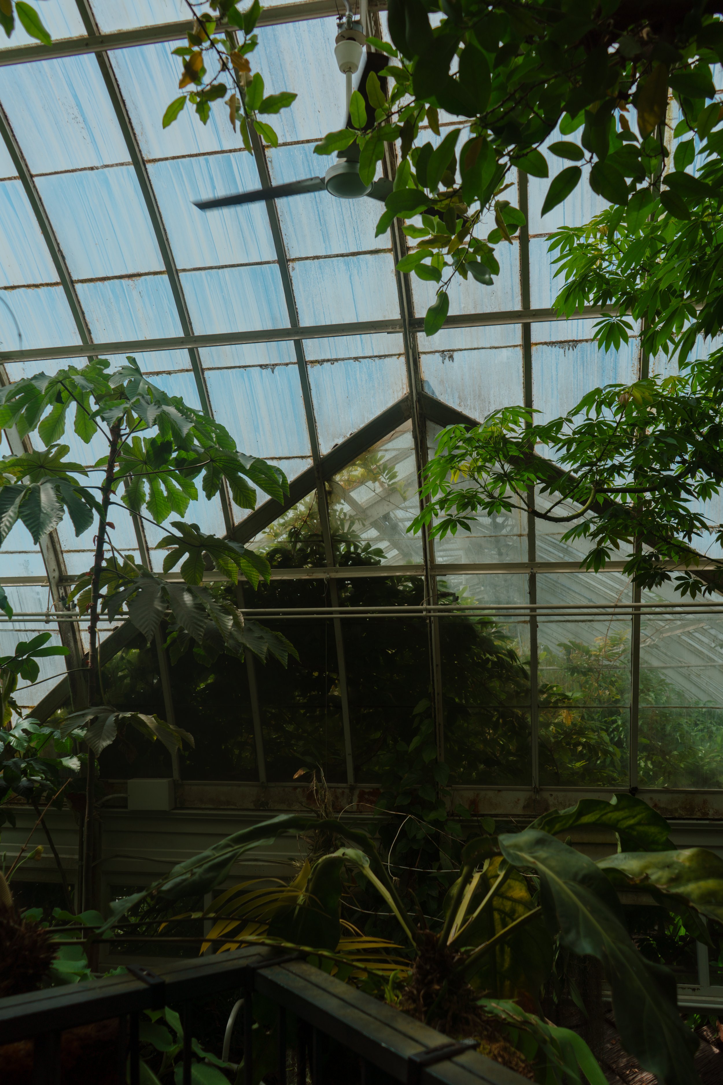 DSC04395.jpeg