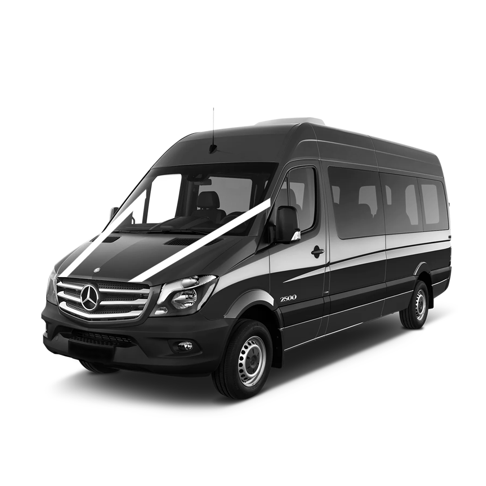 Mercedes Limo Style 7 Seats