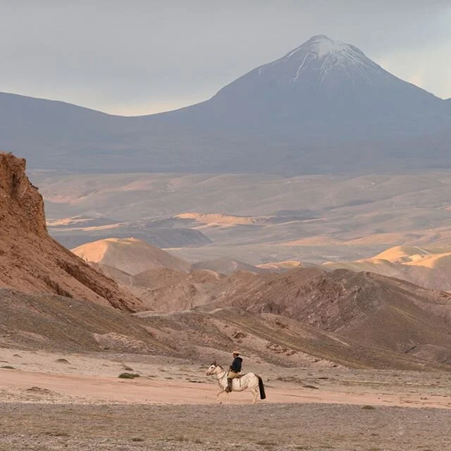 Horseback riding adventures w/ @awasiexperience in the Atacama Desert, northern Chile, 2019.  @kerdowney