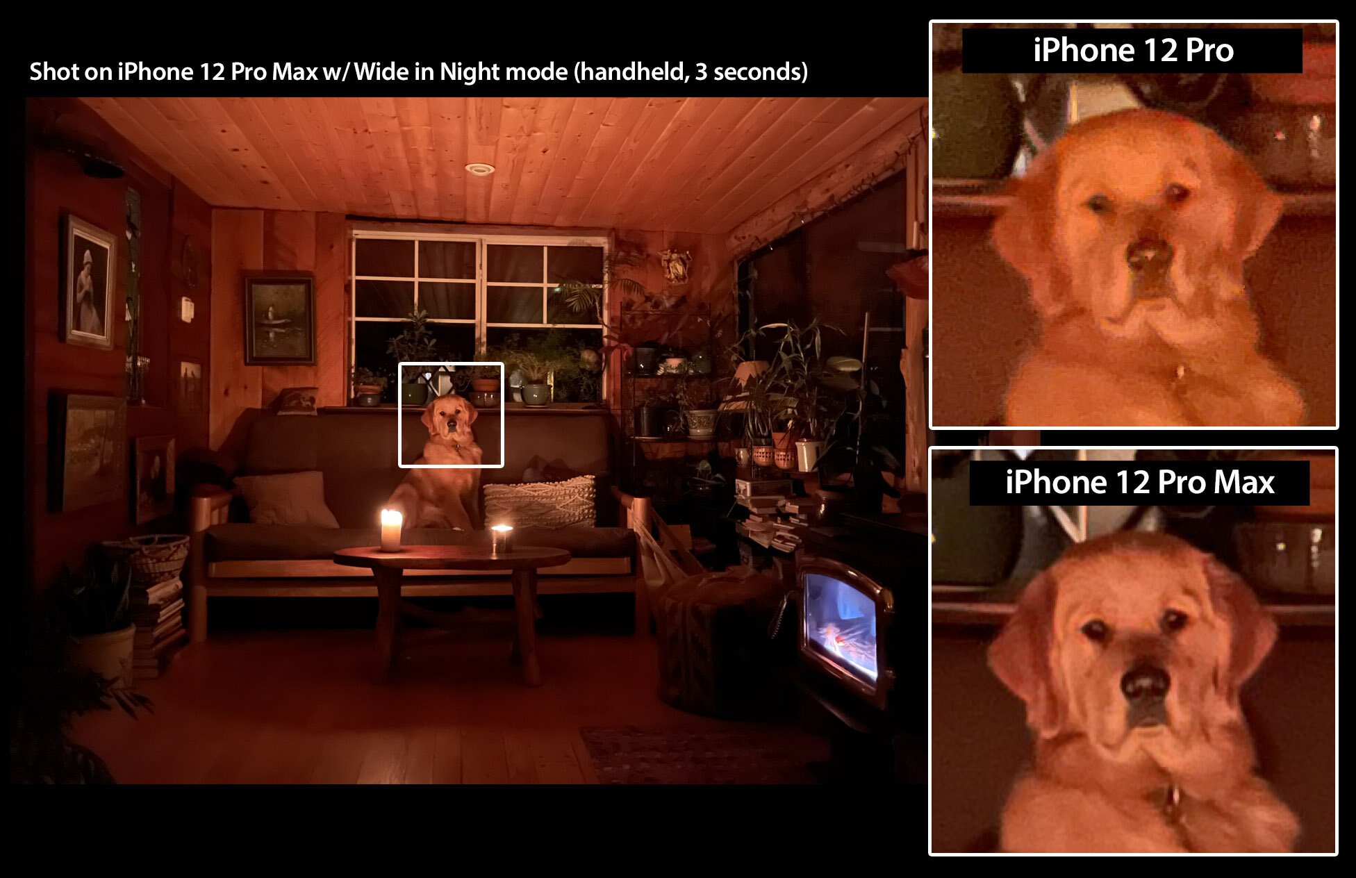 Apple iPhone 12 Pro Max Review: Amazing Camera, Massive Size