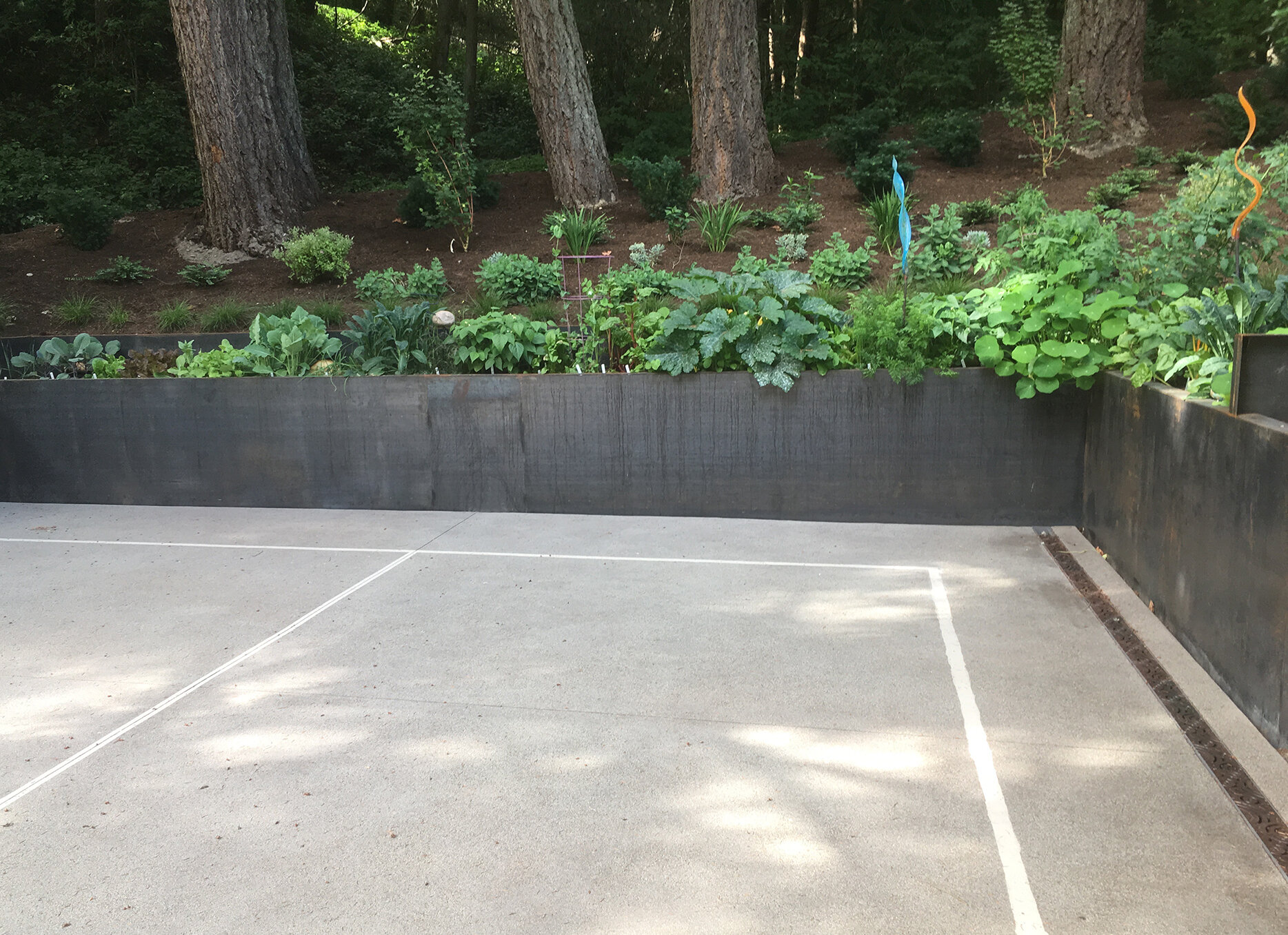 C6: Pickleball Court. Iron Age Bronze Strip Drain and Corten Steel Retaining Wall