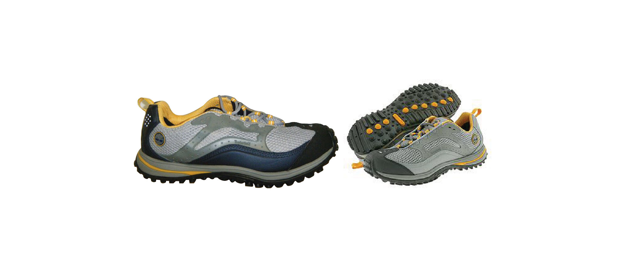 timberland trail lizardpics.jpg