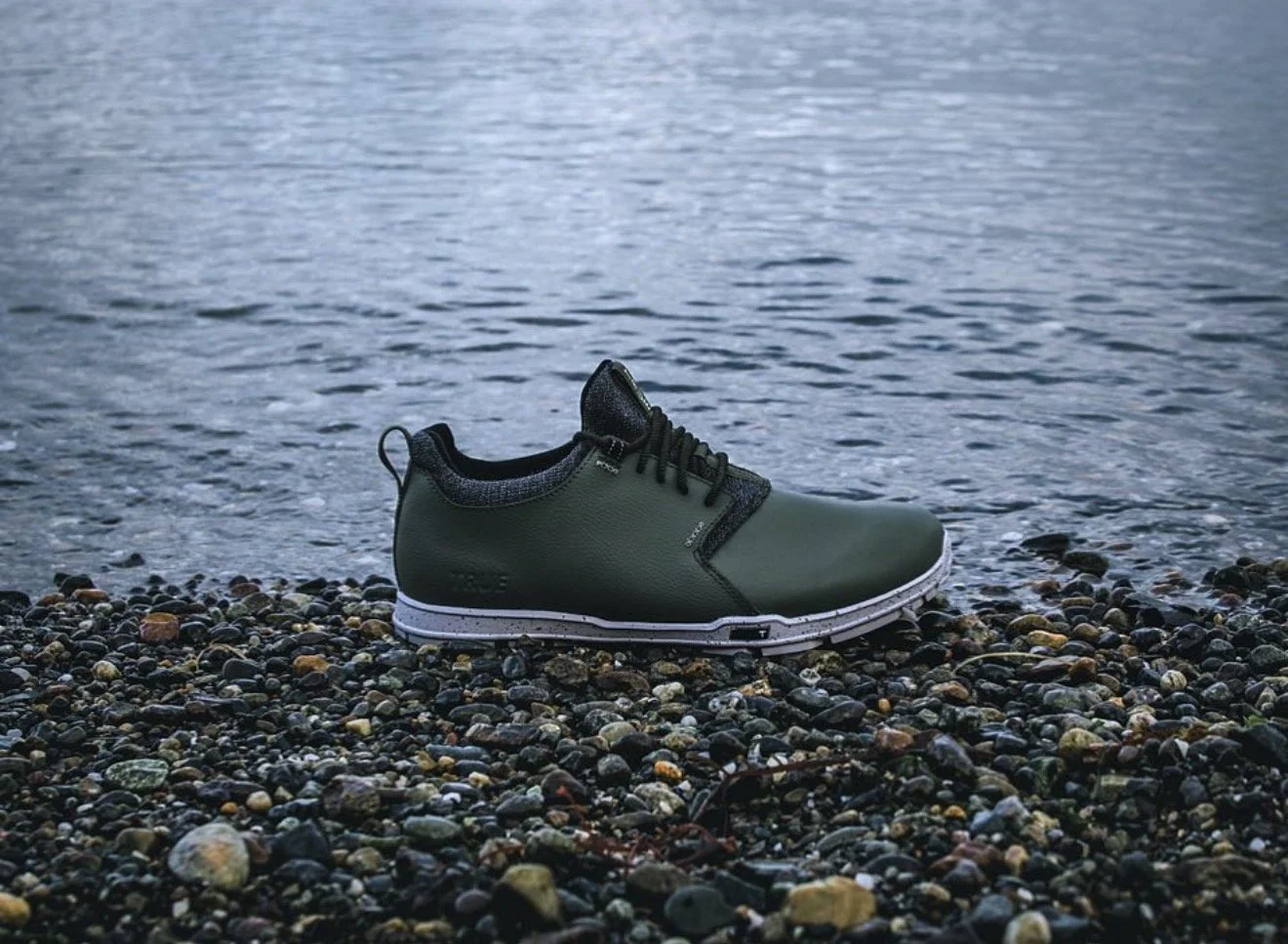 IMG_1194.jpg
