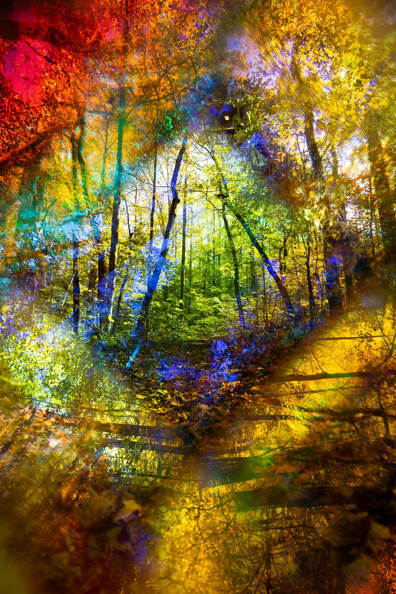 Sylvan-Geometry-Brandon-Woods.jpeg