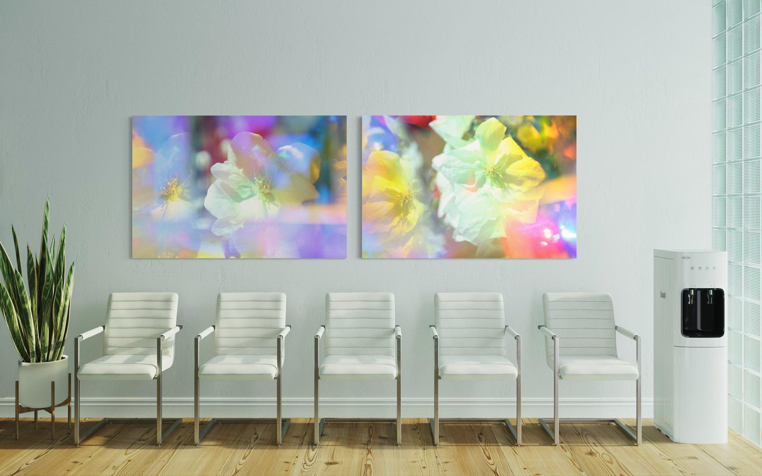 Prismatic-Camellia-colorful-prismatic-flower-photography-Brandon-Woods.jpeg