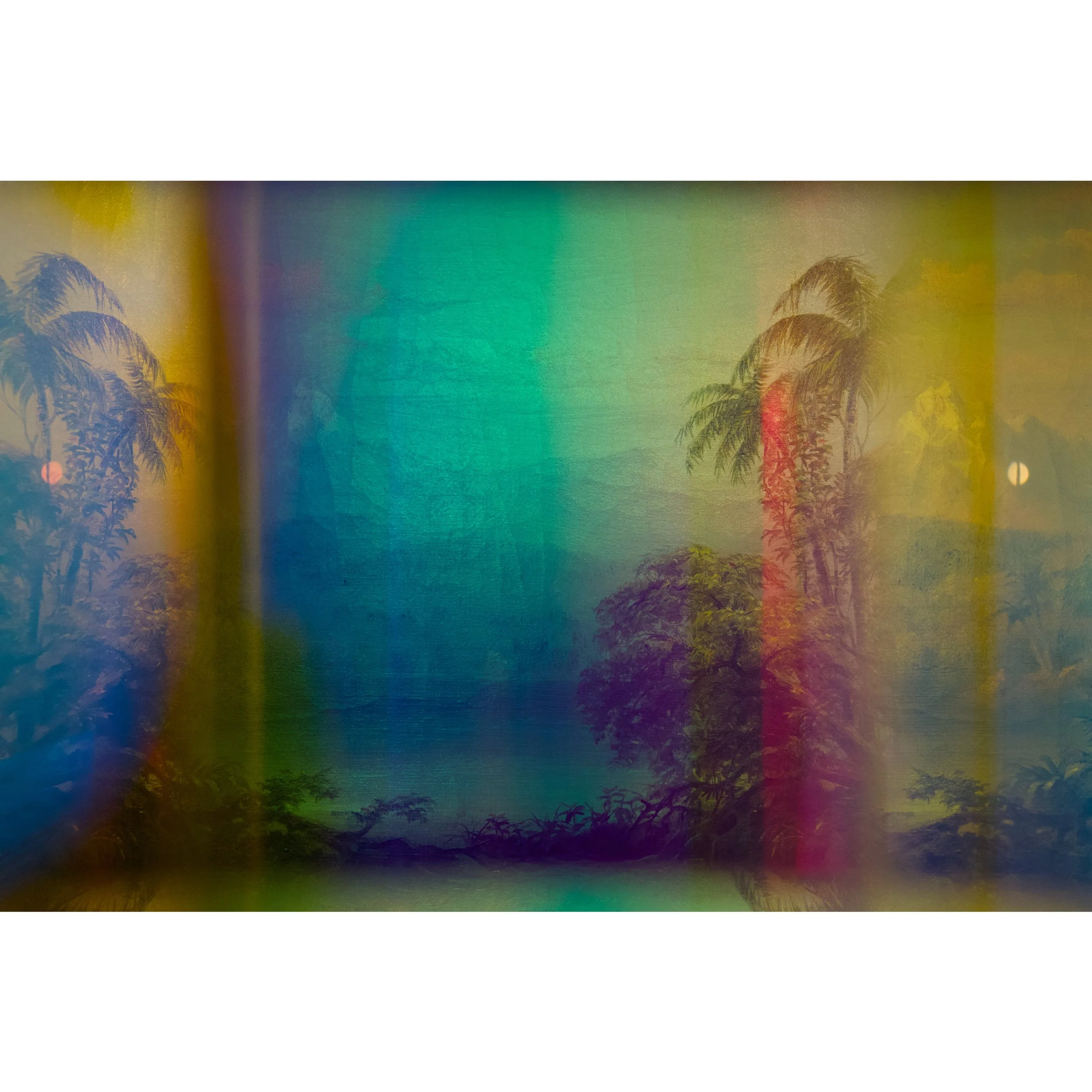 Prismatic Palms - Brandon Woods.jpg