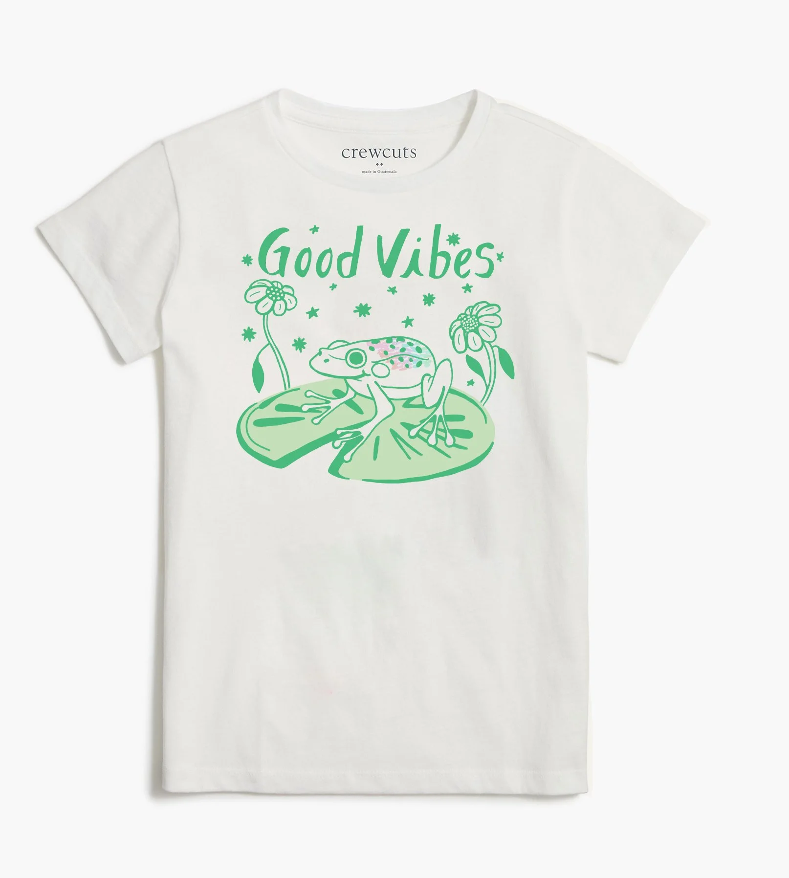 Frog T Graphic Mockup.jpg