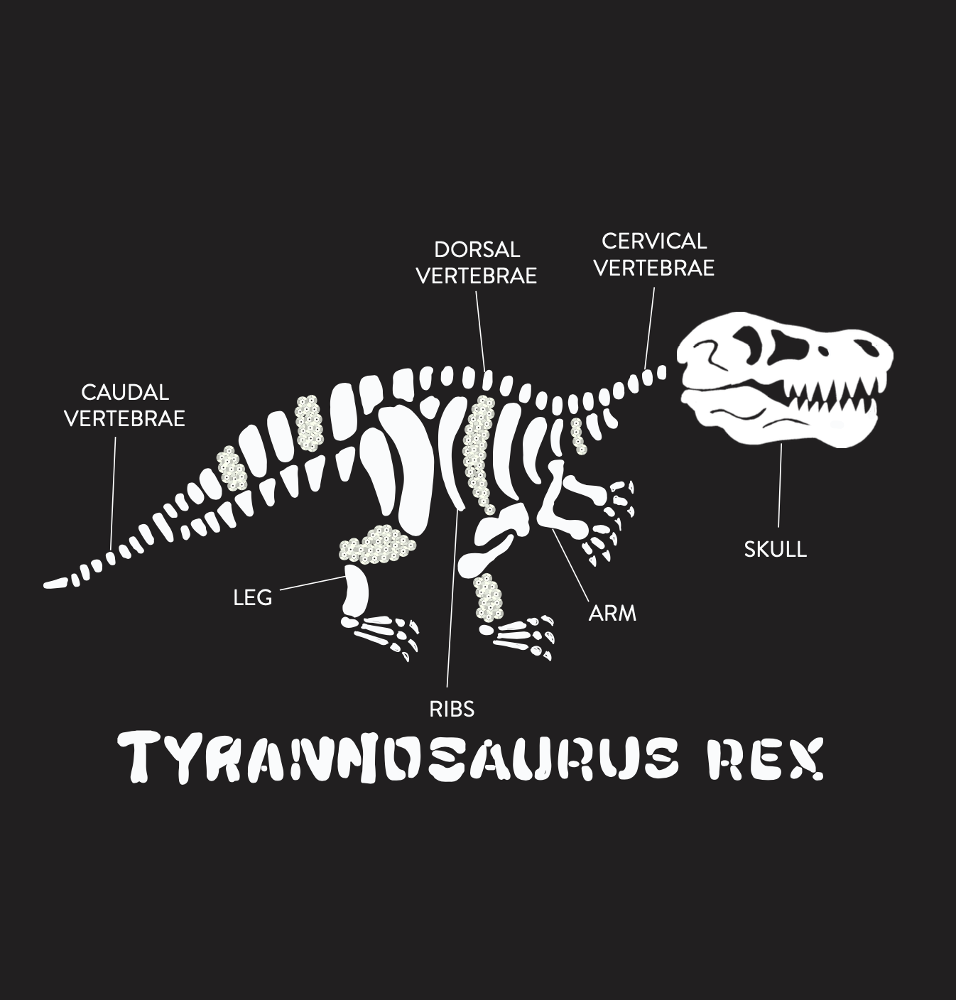 Screenshot 2026-01-28 at 10.41.57 PM.png