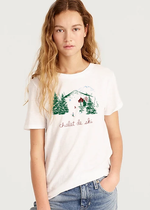 Chalet De Ski Mockup.png