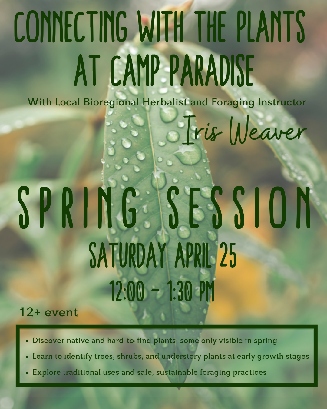 Connecting with the Plants of Camp Paradise: Spring Plant Walk