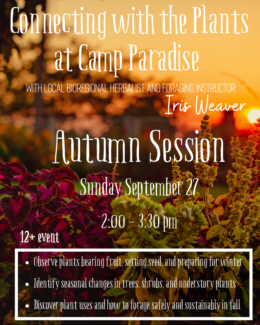 Connecting with the Plants of Camp Paradise: Autumn Plant Walk 