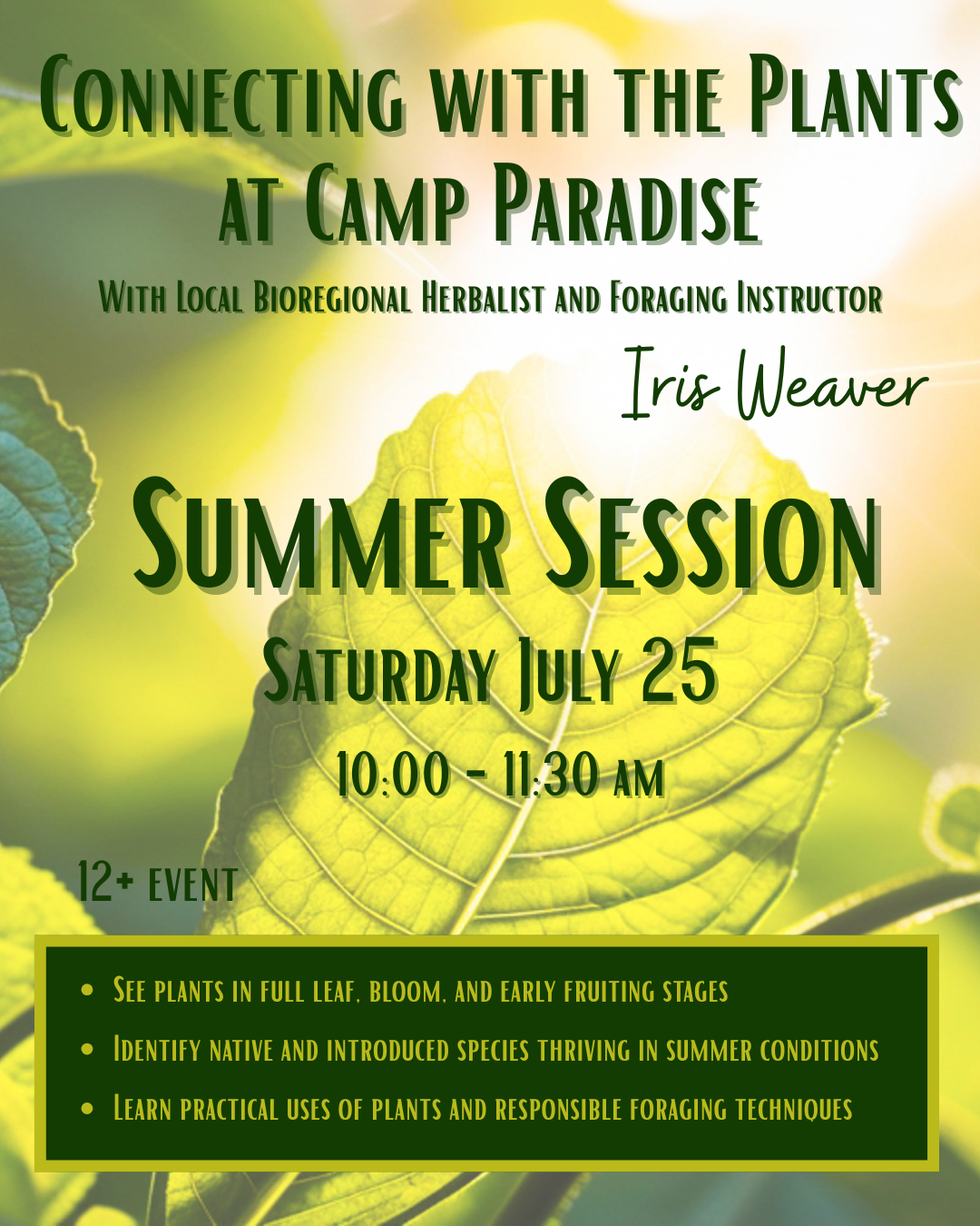 Connecting with the Plants of Camp Paradise: Summer Plant Walk 