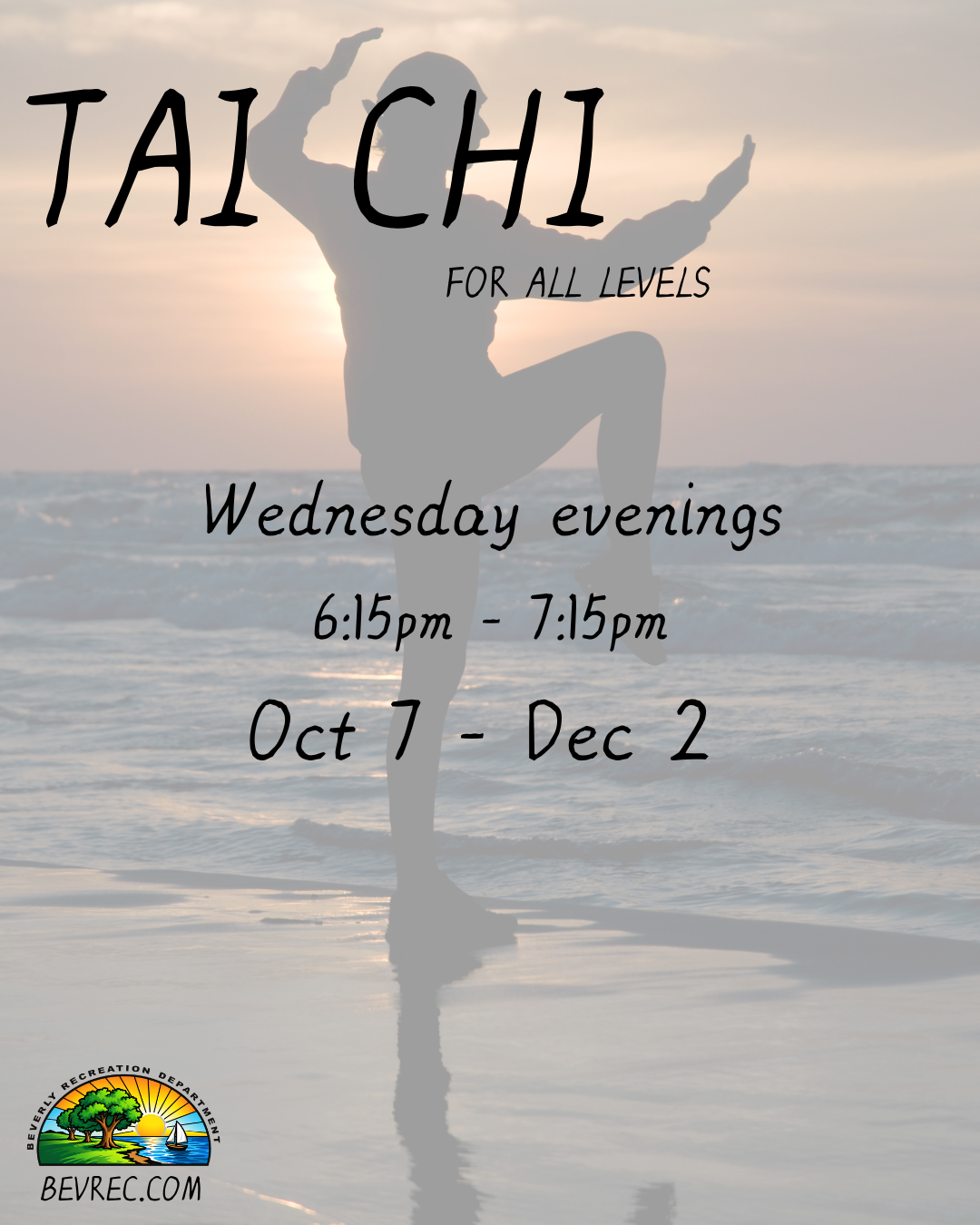 Tai Chi for All Levels
