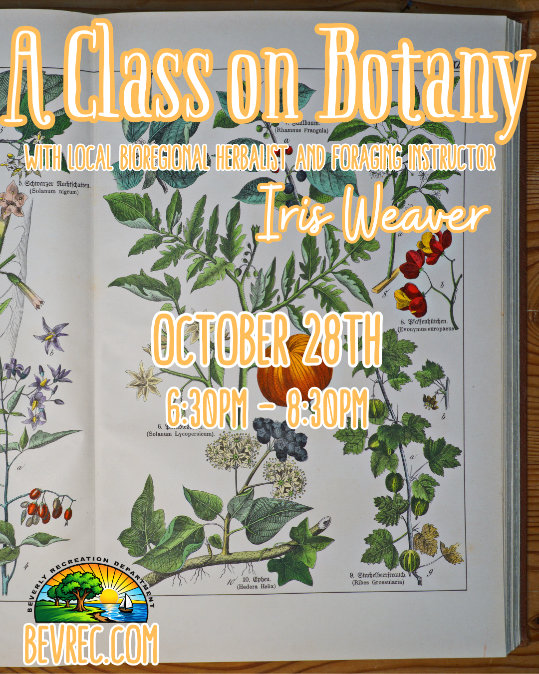 A Class on Botany for Gardeners and Foragers