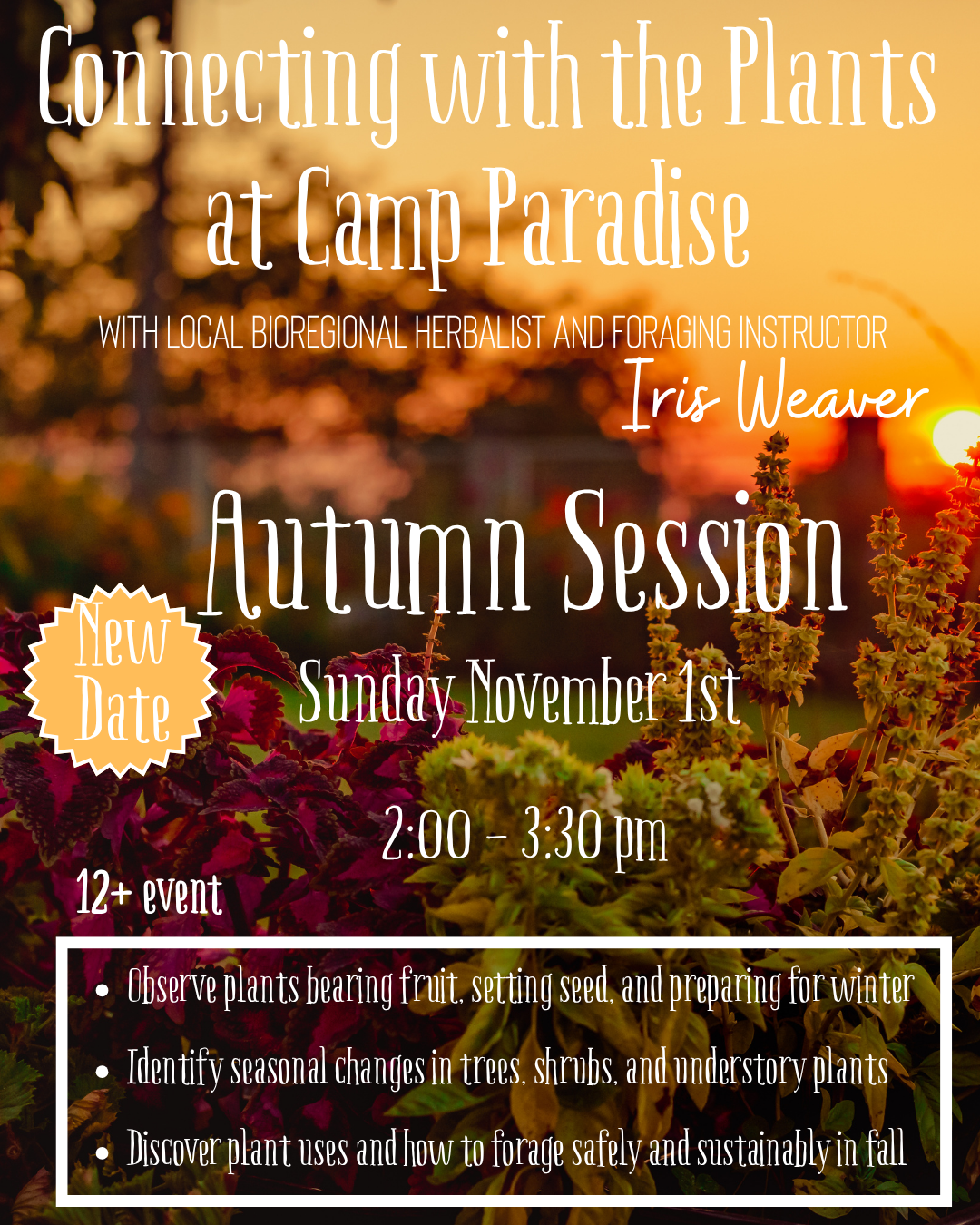 Connecting with the Plants of Camp Paradise: Autumn Plant Walk