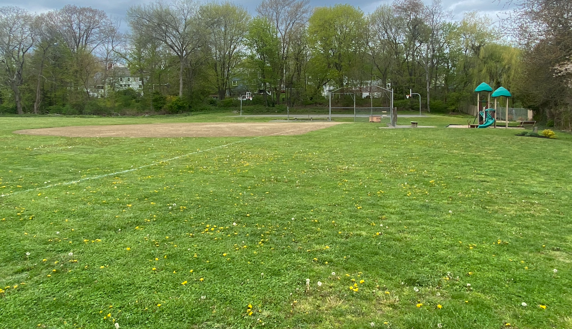 Femino Park.png