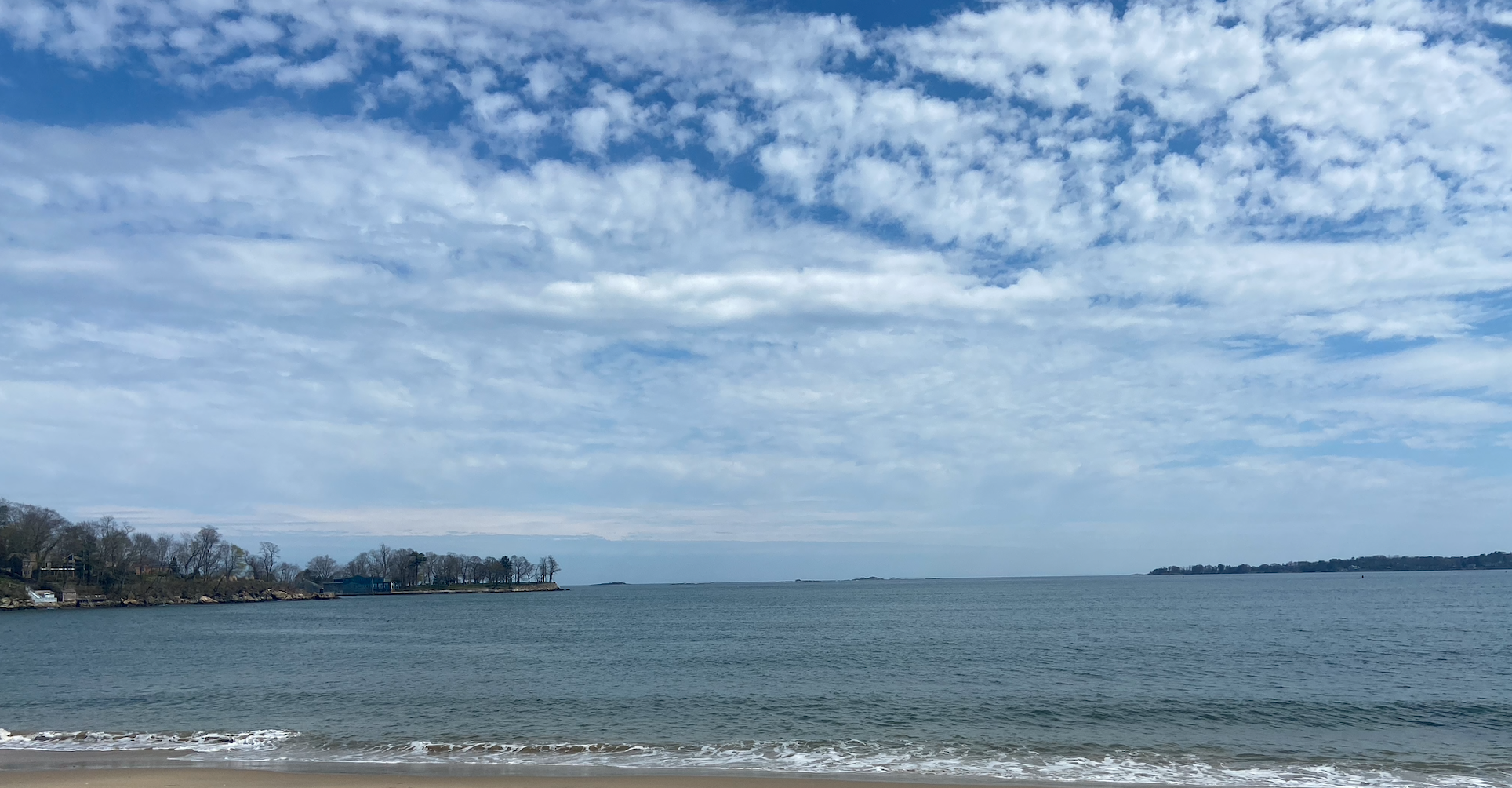 Brackenbury Beach.png