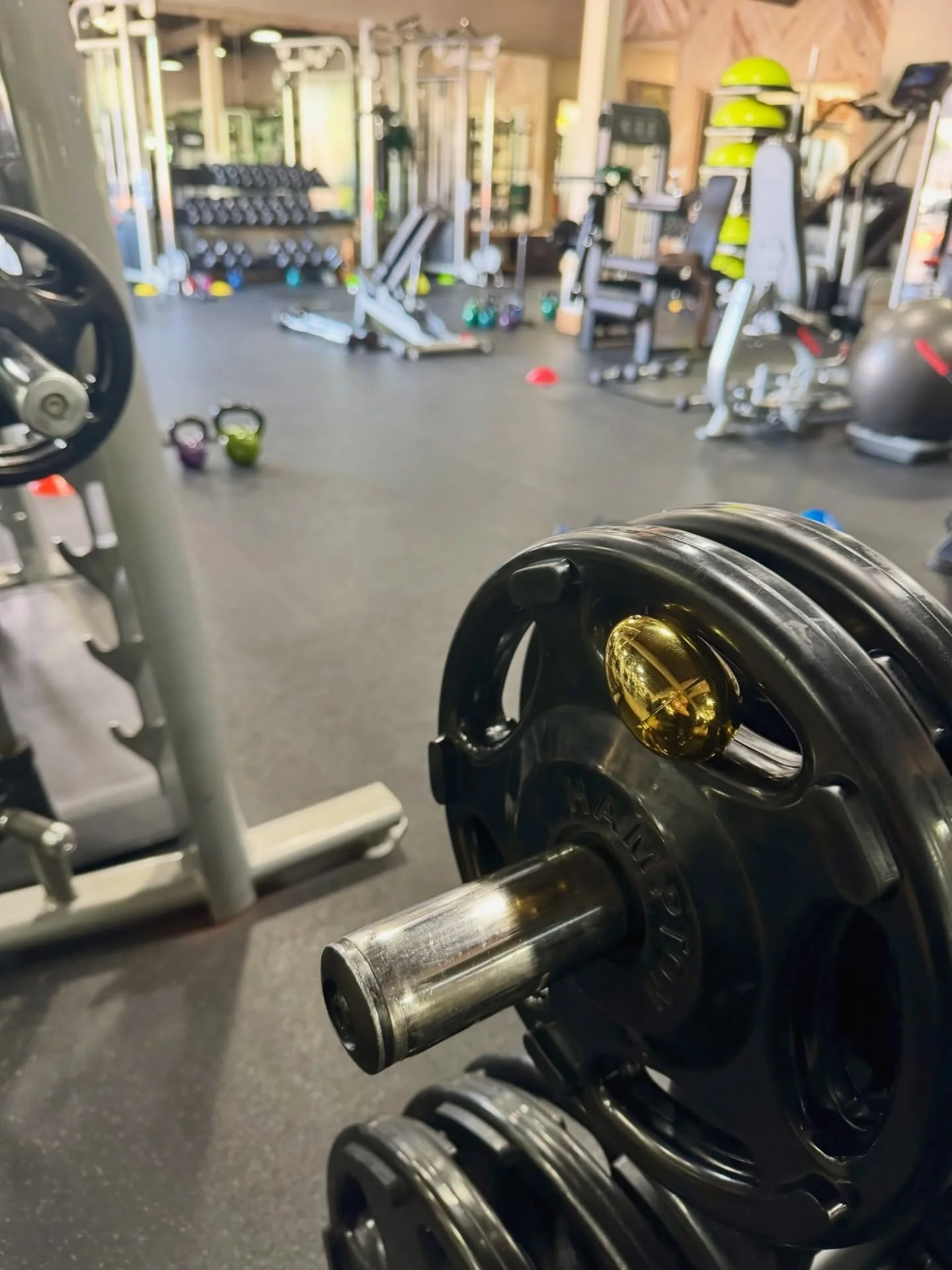Who&rsquo;s going to find the first golden egg?! 

Remember, during the month of April, every Saturday class will have one golden egg for you to find for a fun prize! 

#saltyfitnessstudio #goldenegg #easteregghunt #gymfun #ocfitness