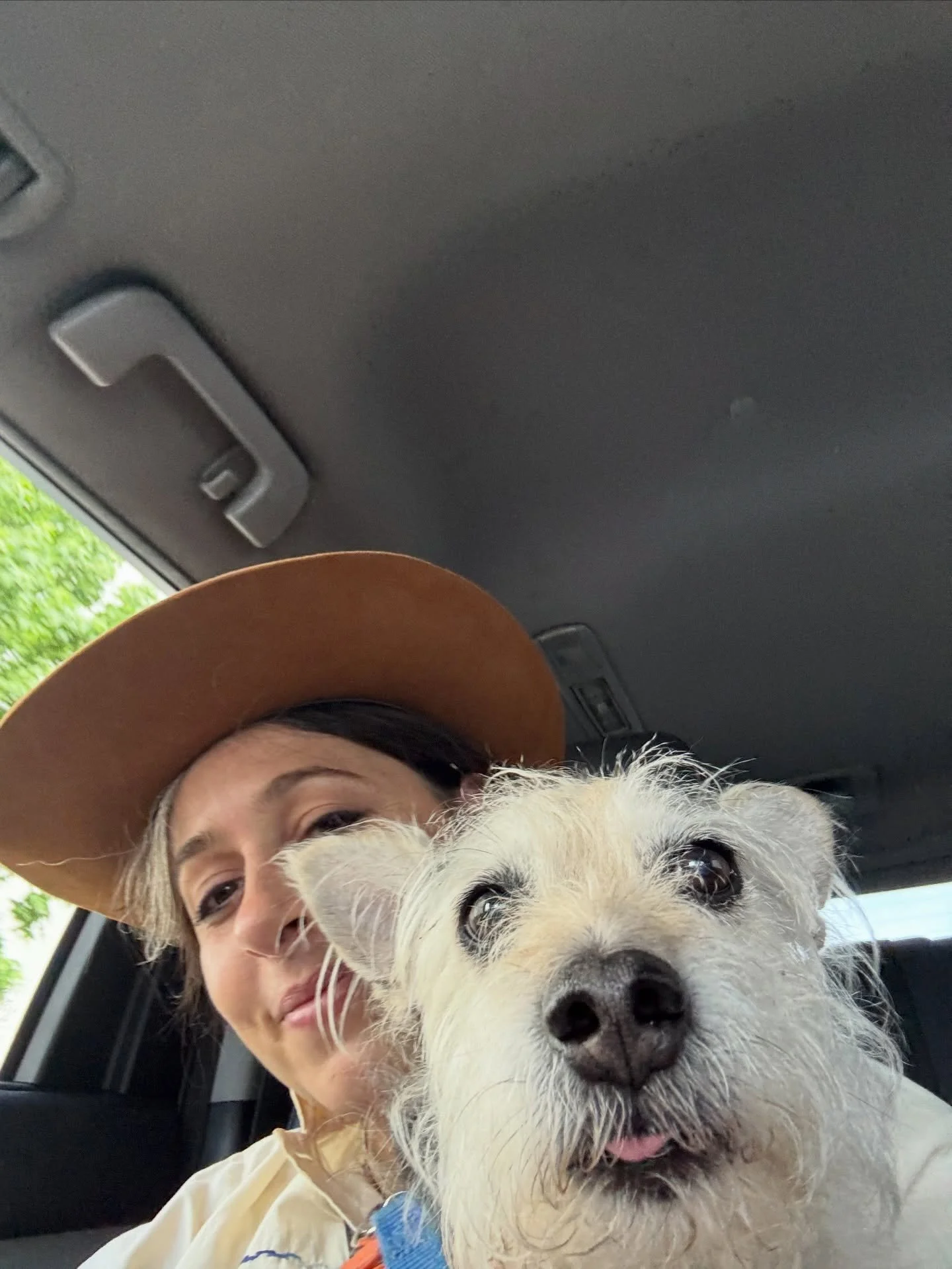 Henlo frenz. Got a couple dj sets coming this week that are guaranteed to get that tail waggin&rsquo; : FRIDAY @luckydogbar 9-2am and SATURDAY @skinnydennis 12-3am.

And in case you were wondering, the doggo pictured is Mister Tibbs and he approves t