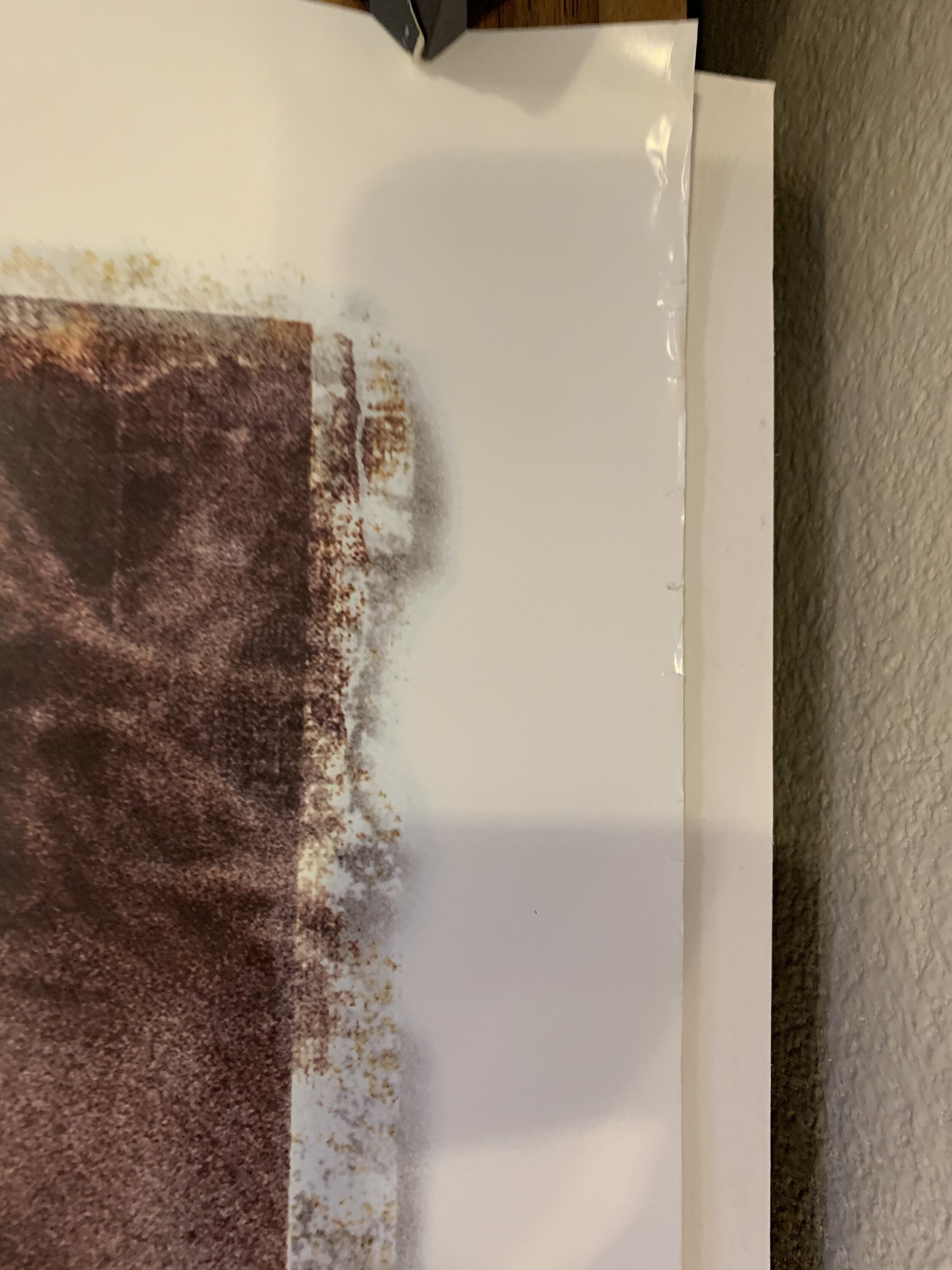 E7BE8AAF-A618-482D-8715-1116FEDA47F8.jpeg