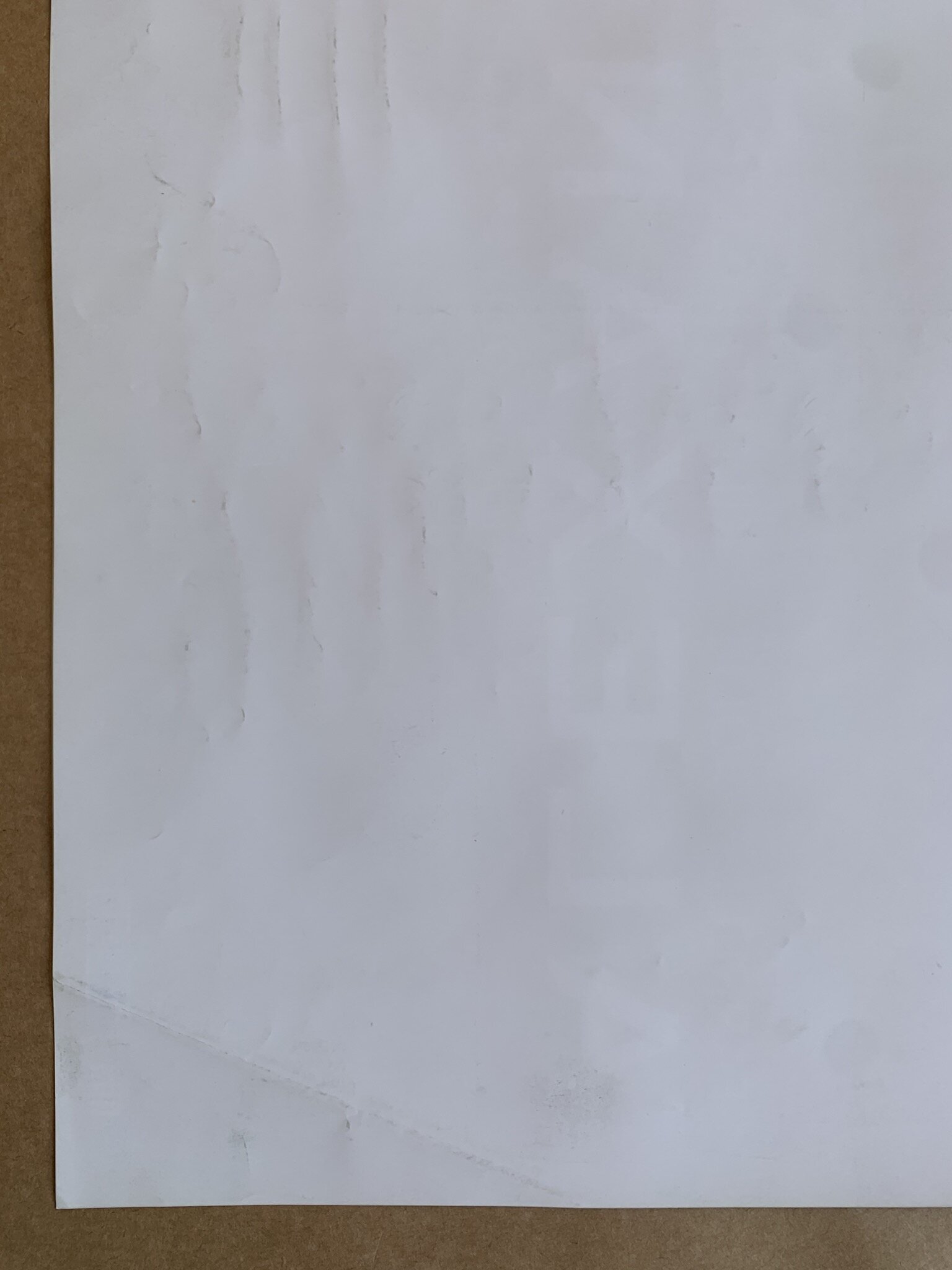 538CA43D-D8AA-4D7C-B562-D0E644E27128.jpeg