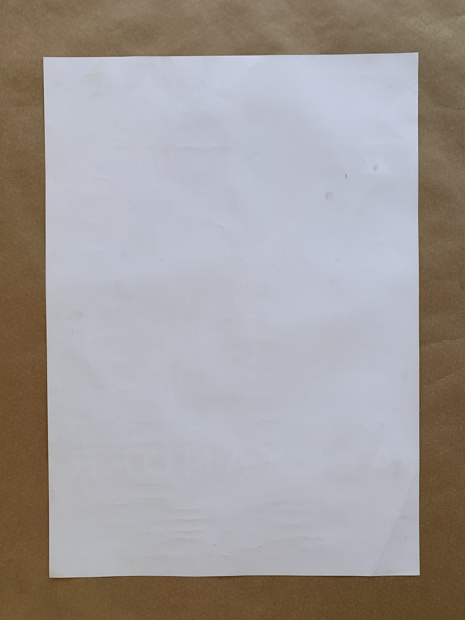 D988A472-63A7-423C-AF0A-35AA865D4DA7.jpeg