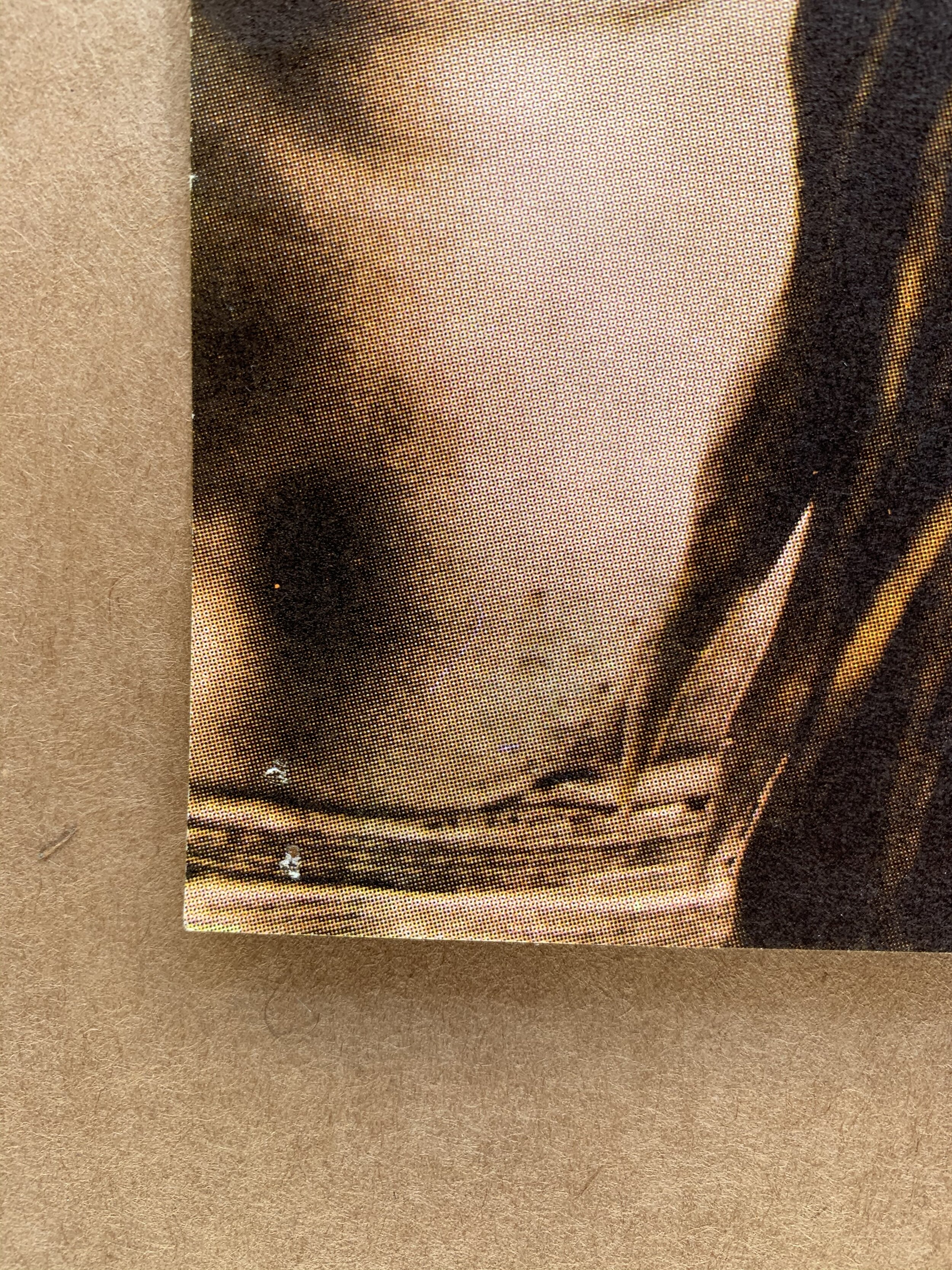 B673D225-3429-40F6-9A6F-BF64093BC120.jpeg