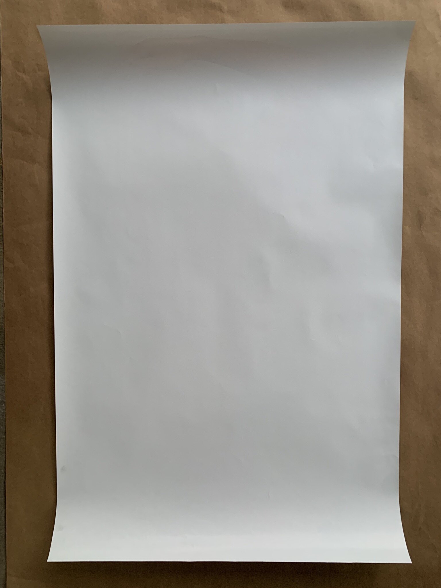 0DCA7BE6-ECE9-451E-A22A-4B67D4B8AF59.jpeg
