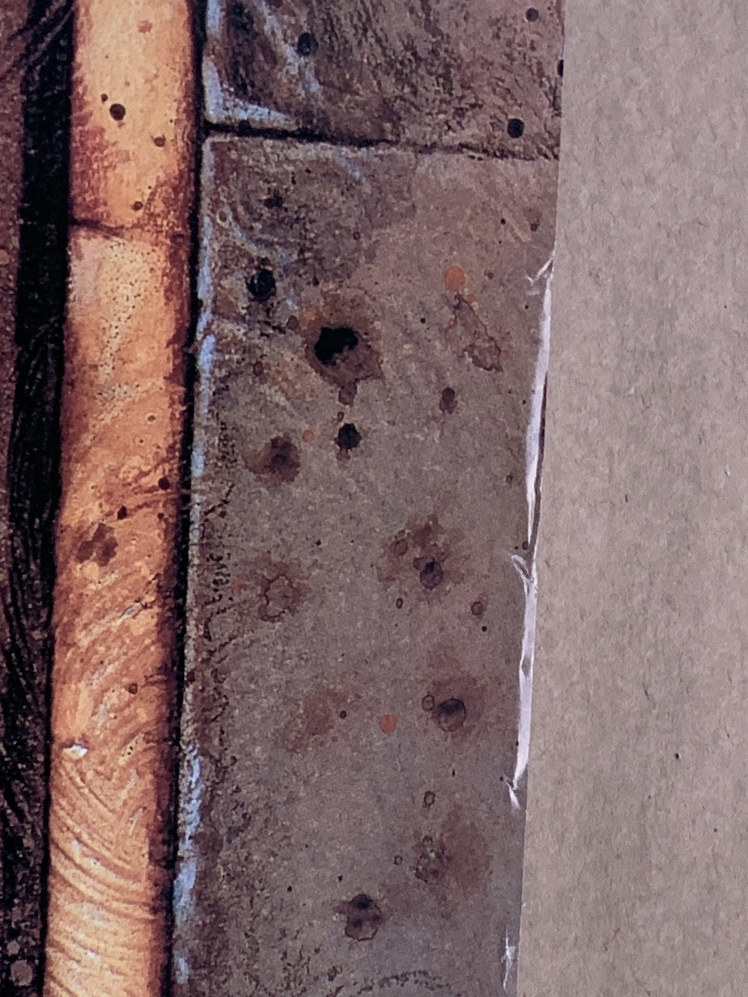 B2731E7F-8DA5-4BB9-B1DC-12A09D4878E0.jpeg