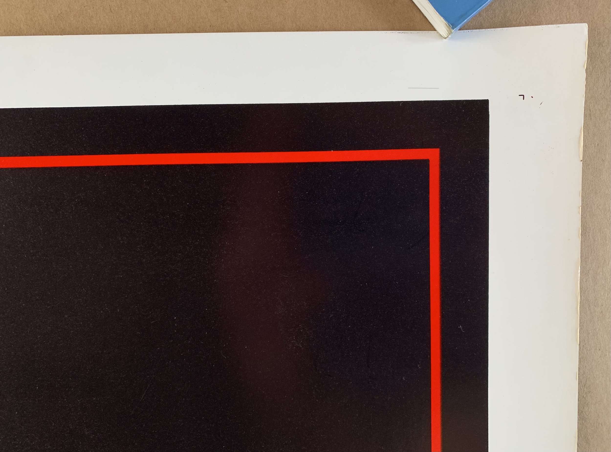 C2A9AFEC-0291-432D-9461-A743FD98A489.jpeg