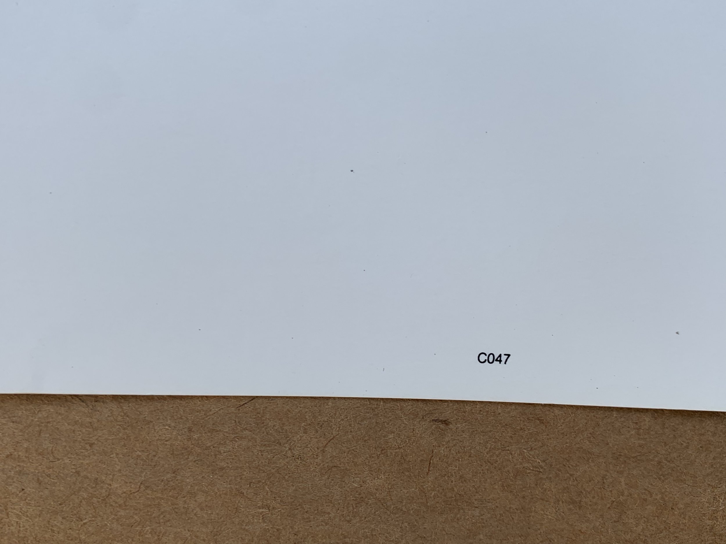 47C8DA68-4D19-40D3-88D8-A7B5F3804C51.jpeg