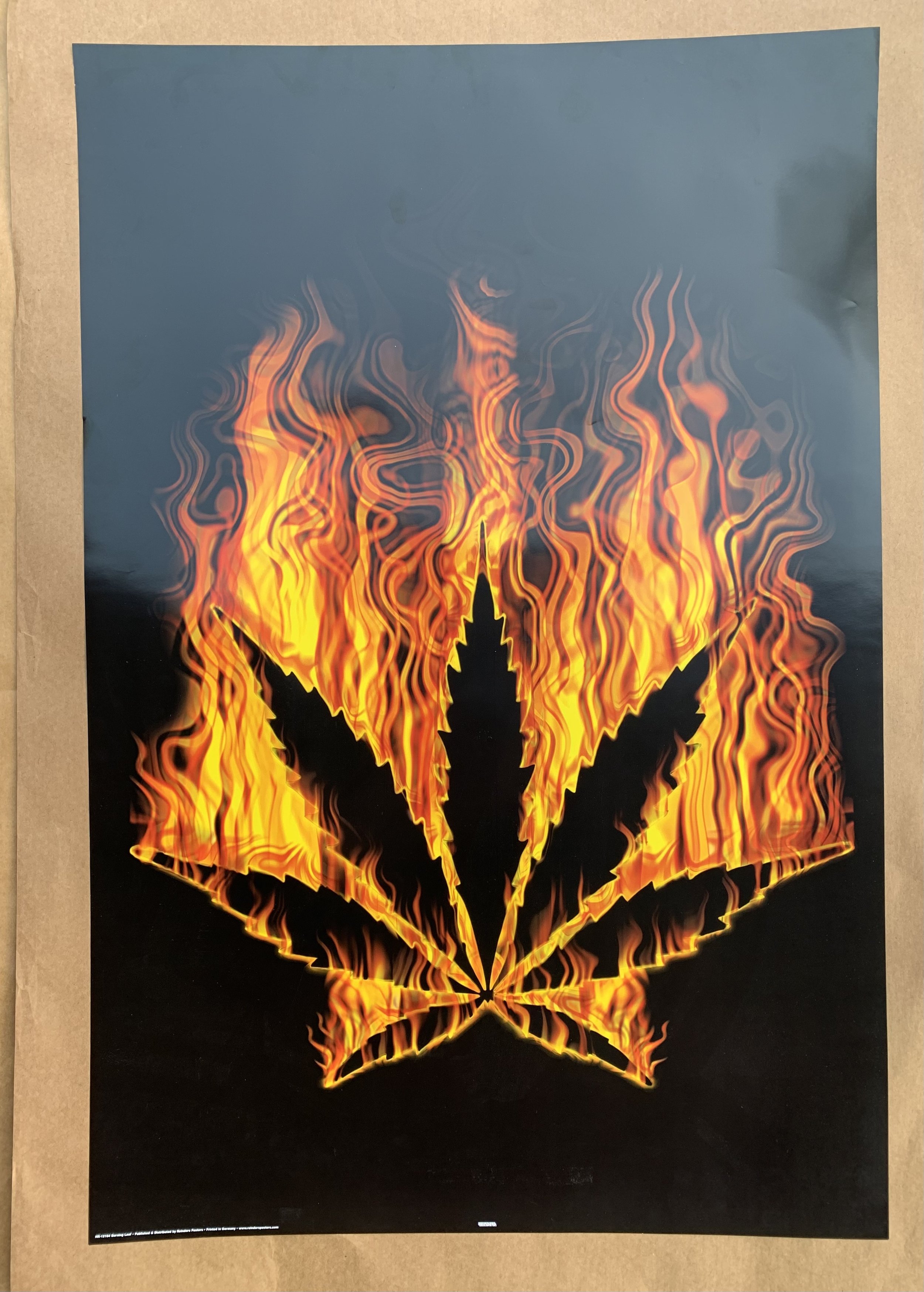 DF3446CF-E43A-4EDE-ACAC-740C7304F0DE.jpeg