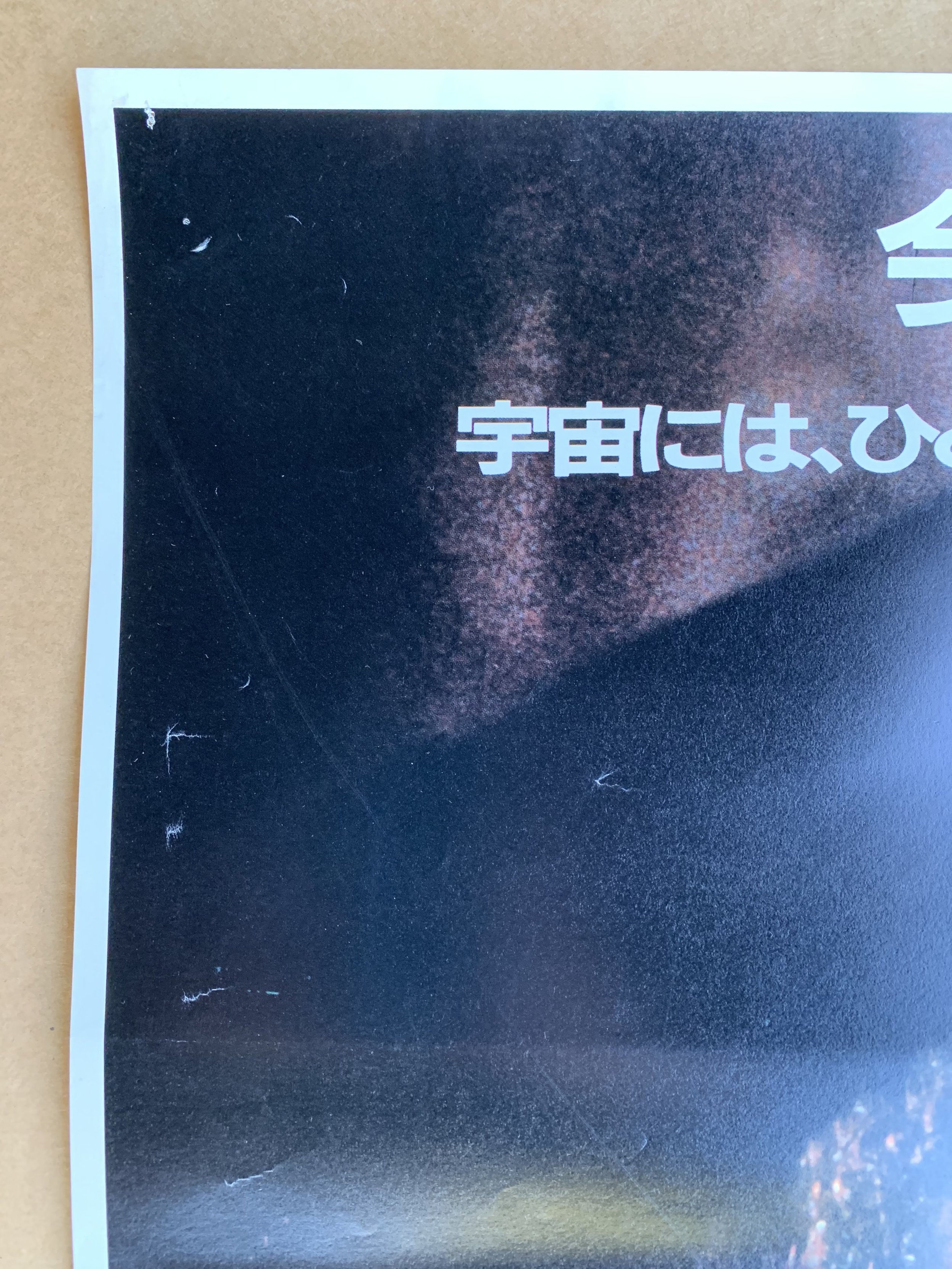 BB9D85C3-254E-4CB4-83C6-326381BC0C16.jpeg