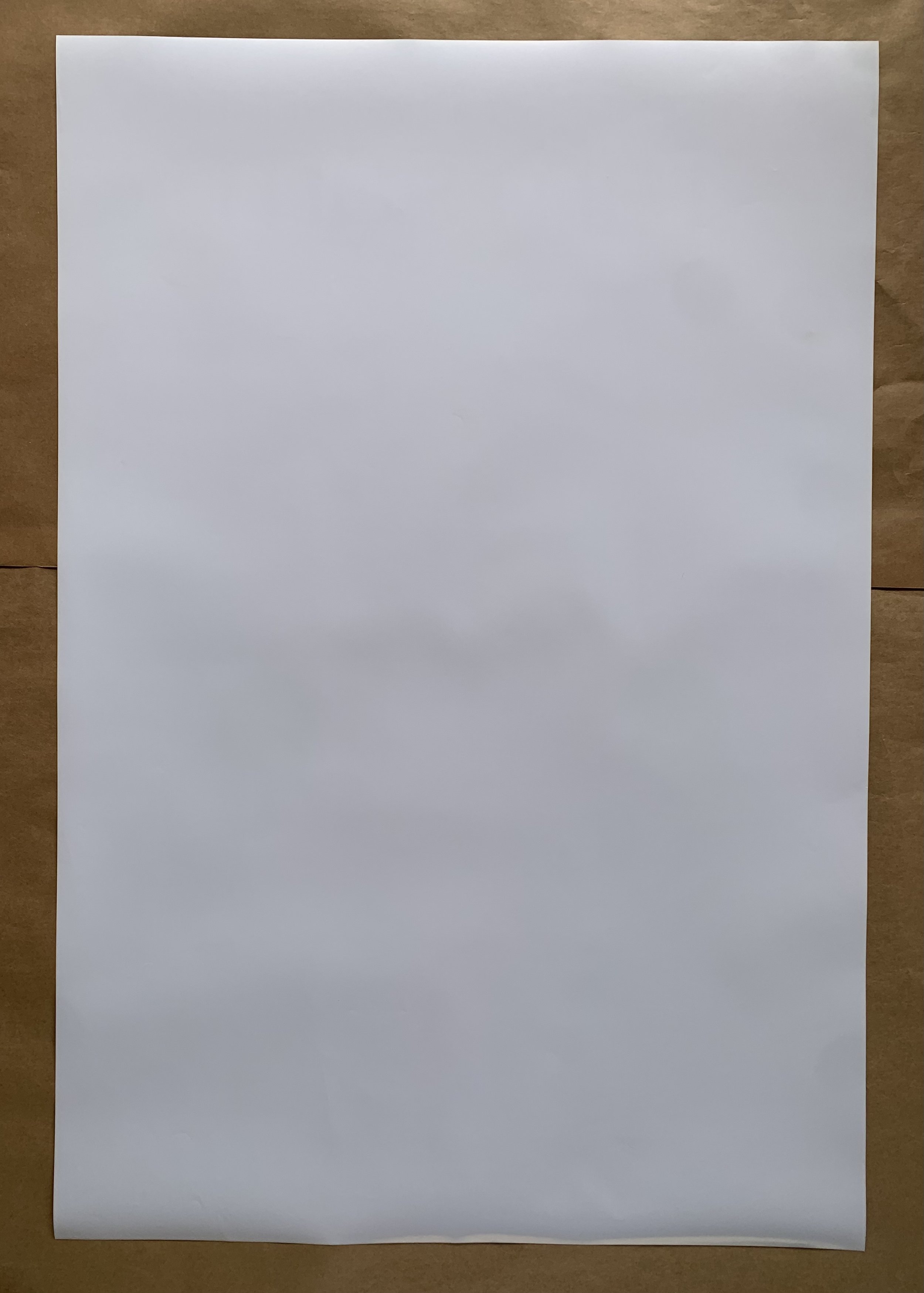 9B9B69E1-3A44-4E02-88CF-CA4FE3864CBC.jpeg